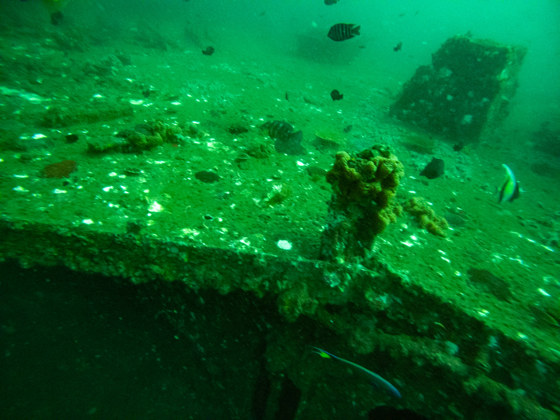 C:\DCIM\100GOPRO\GOPR0500.GPR