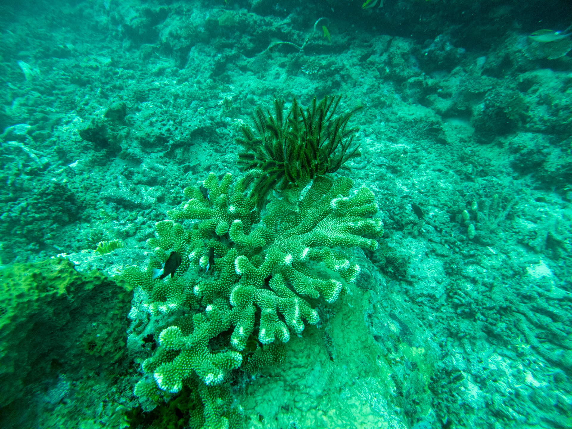 C:\DCIM\100GOPRO\GOPR0370.GPR