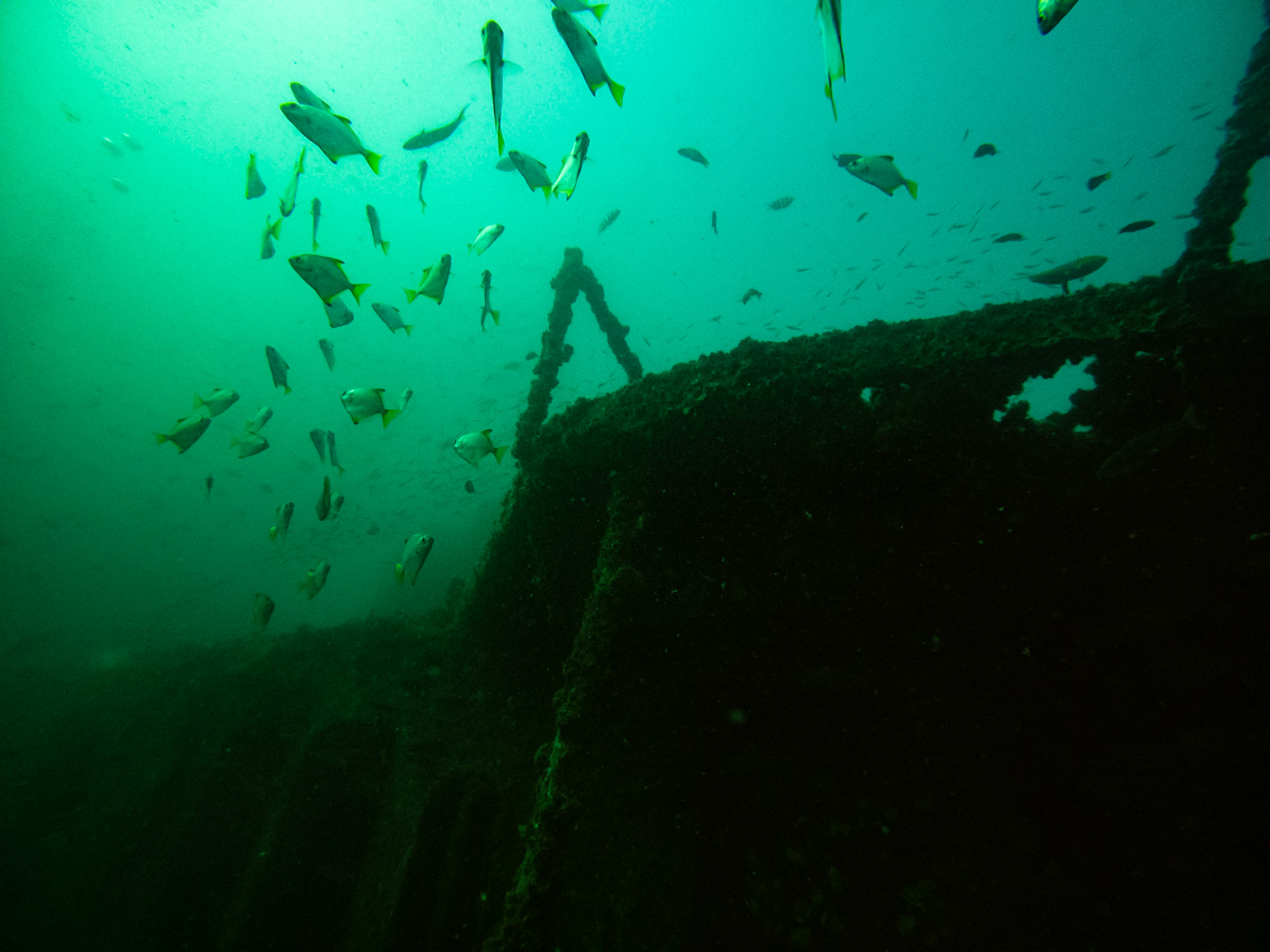 C:\DCIM\100GOPRO\GOPR0509.GPR