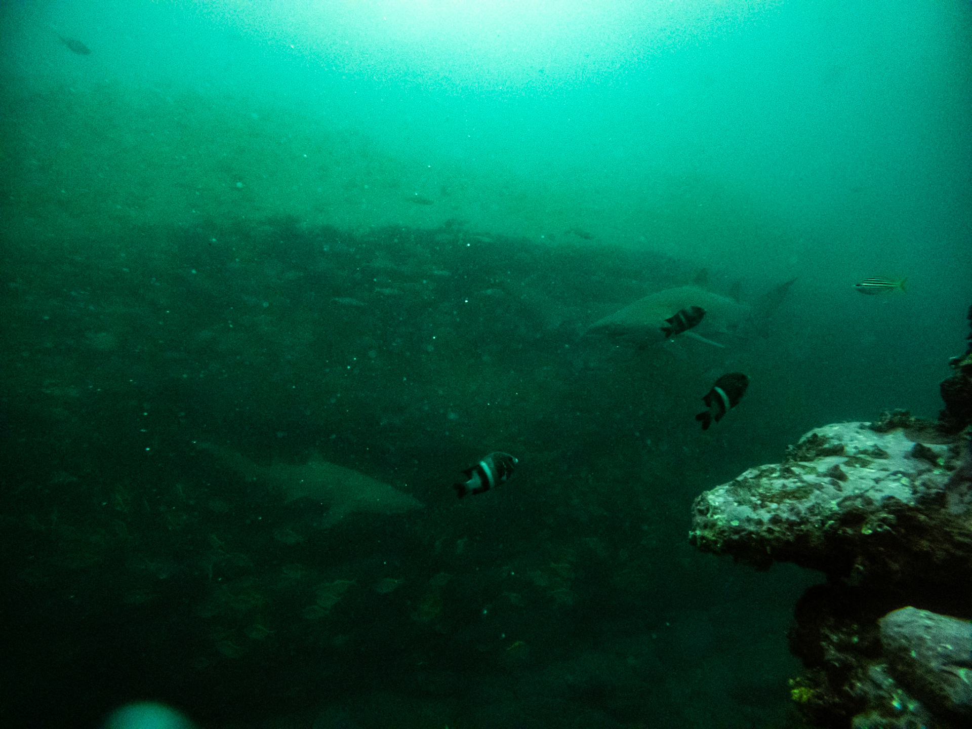 C:\DCIM\100GOPRO\GOPR0430.GPR