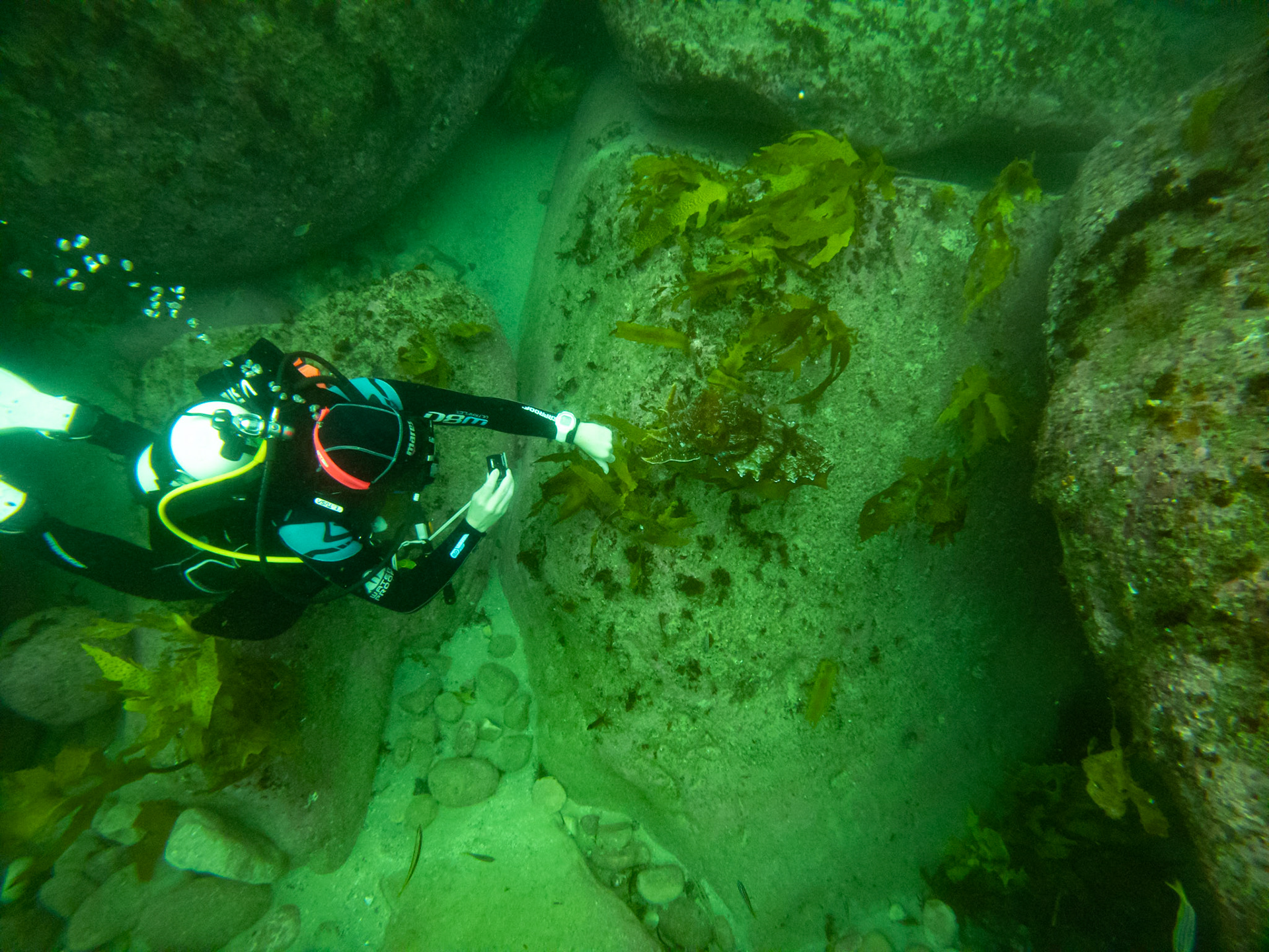 C:\DCIM\100GOPRO\GOPR0465.GPR