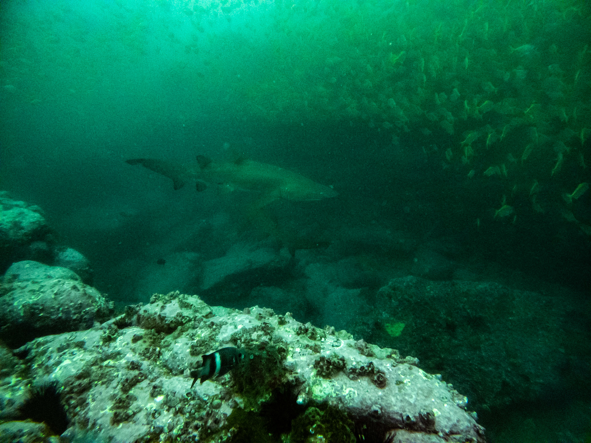 C:\DCIM\100GOPRO\GOPR0428.GPR