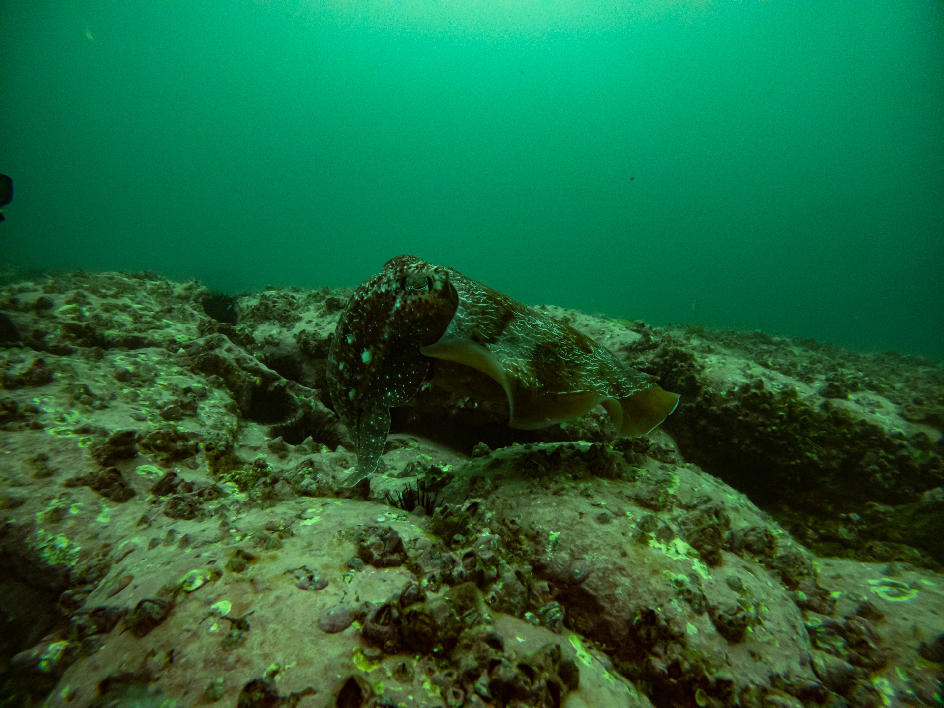 C:\DCIM\100GOPRO\GOPR0437.GPR