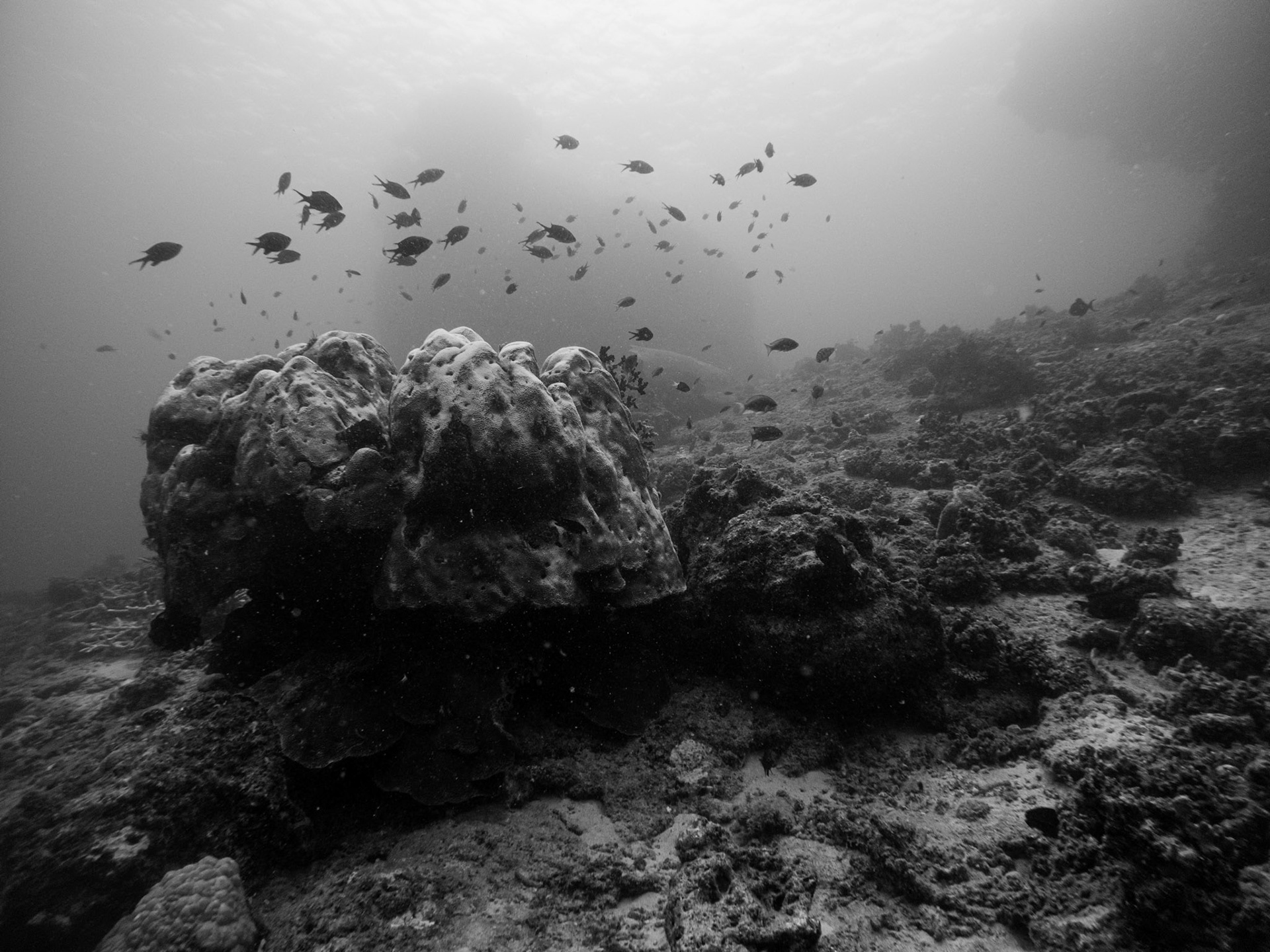 C:\DCIM\100GOPRO\GOPR0295.GPR