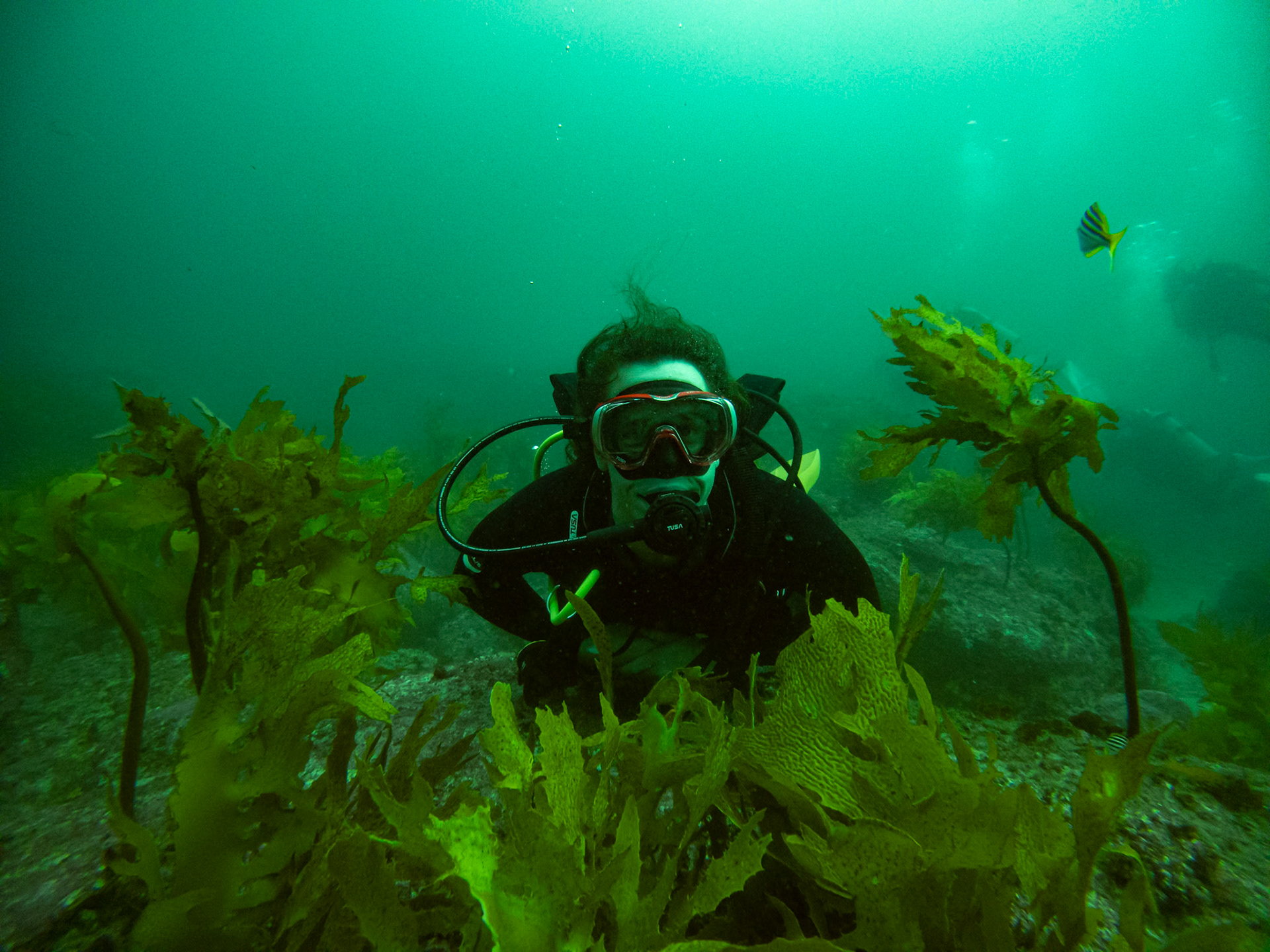 C:\DCIM\100GOPRO\GOPR0484.GPR