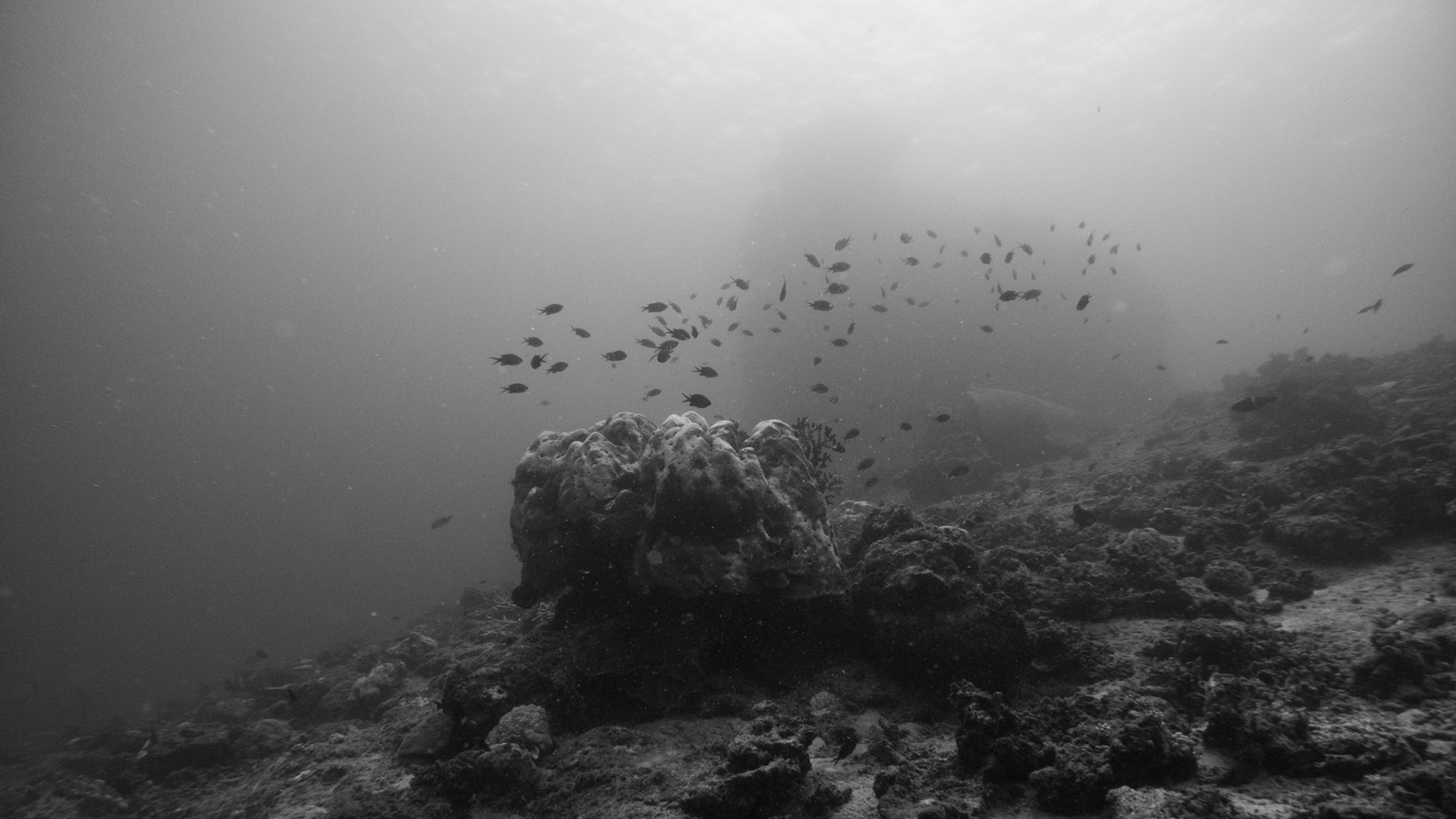 C:\DCIM\100GOPRO\GOPR0294.GPR