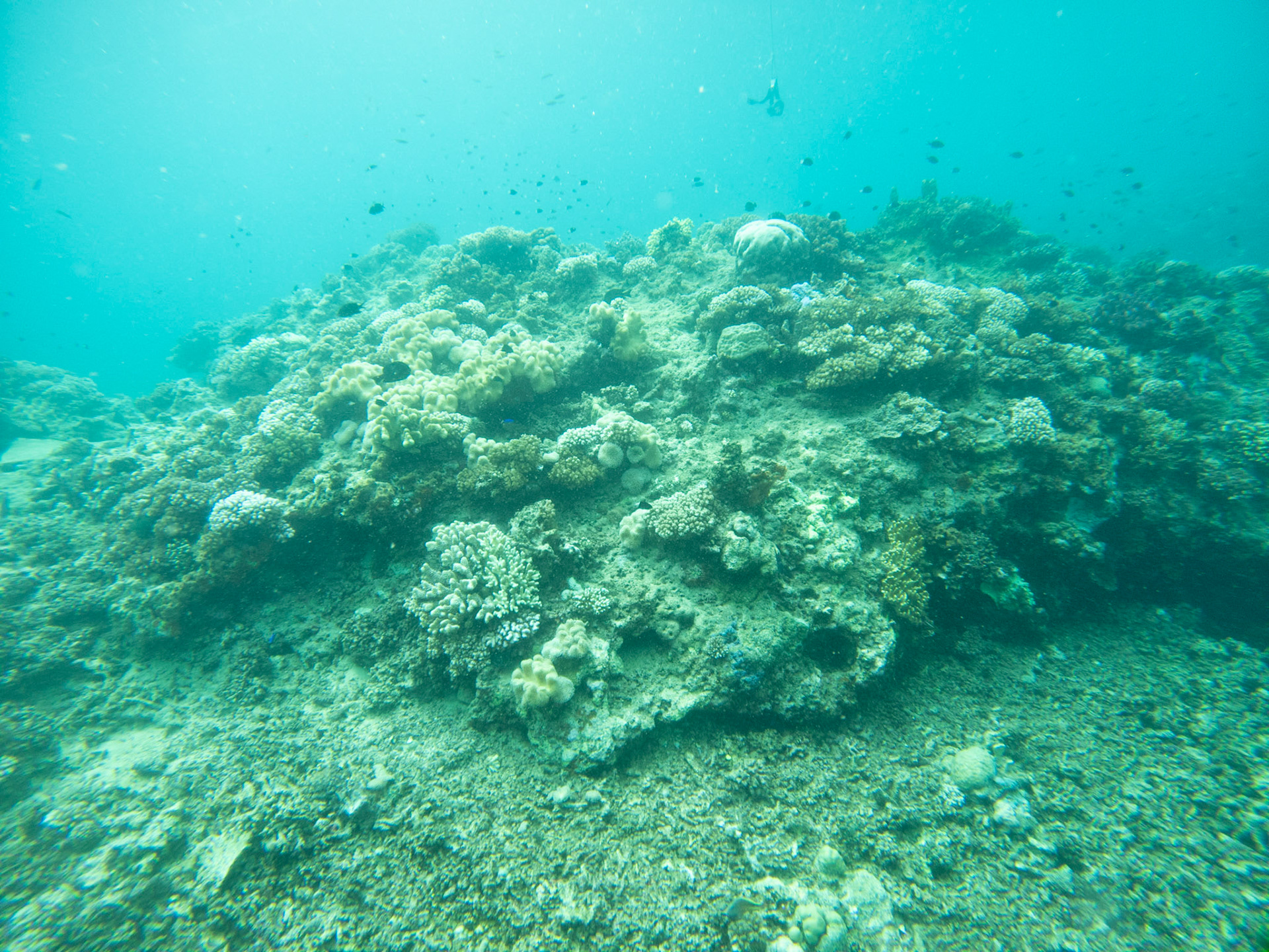 C:\DCIM\100GOPRO\GOPR0329.GPR