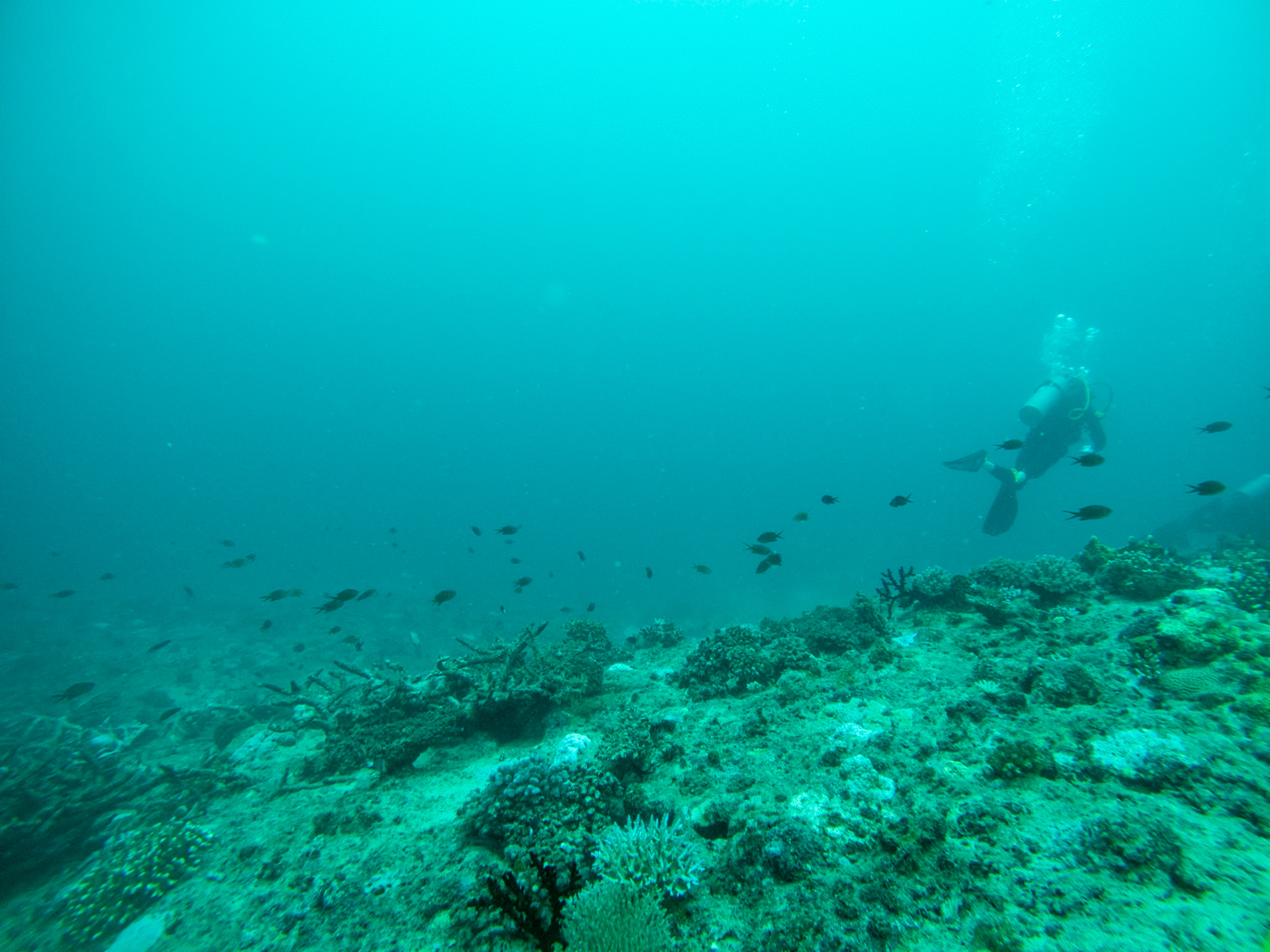 C:\DCIM\100GOPRO\GOPR0347.GPR