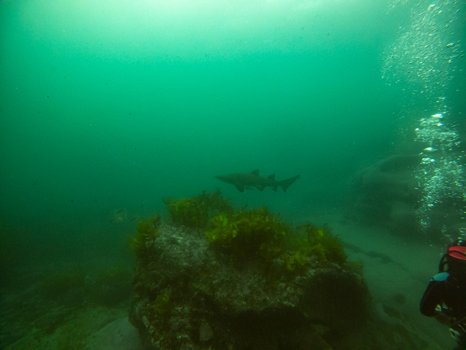 C:\DCIM\100GOPRO\GOPR0474.GPR