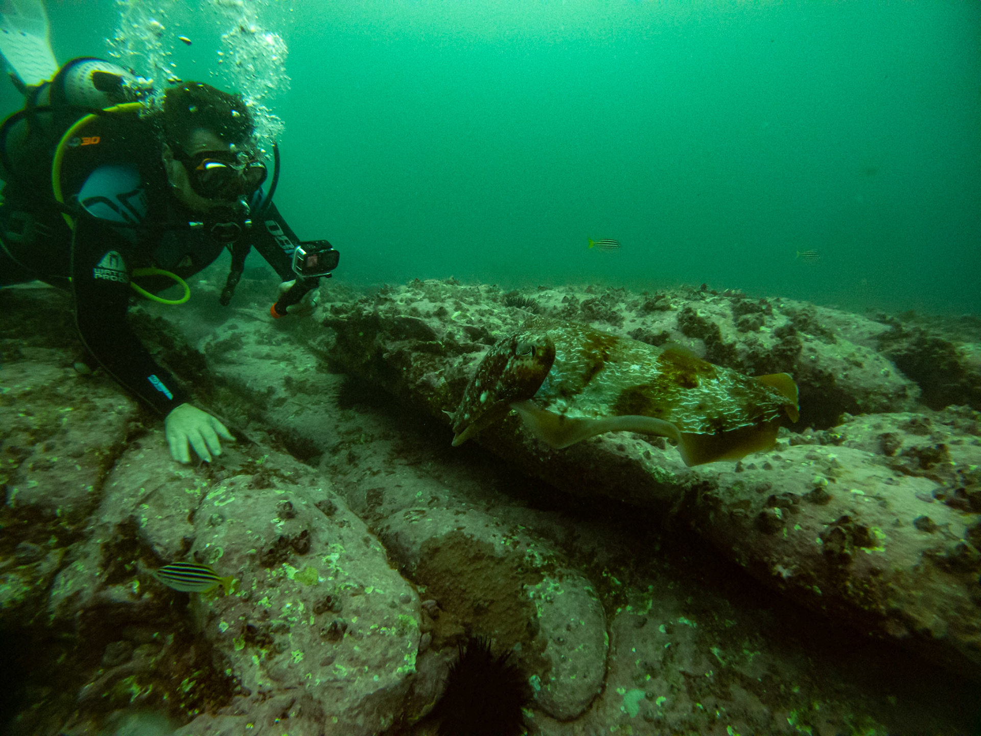 C:\DCIM\100GOPRO\GOPR0436.GPR