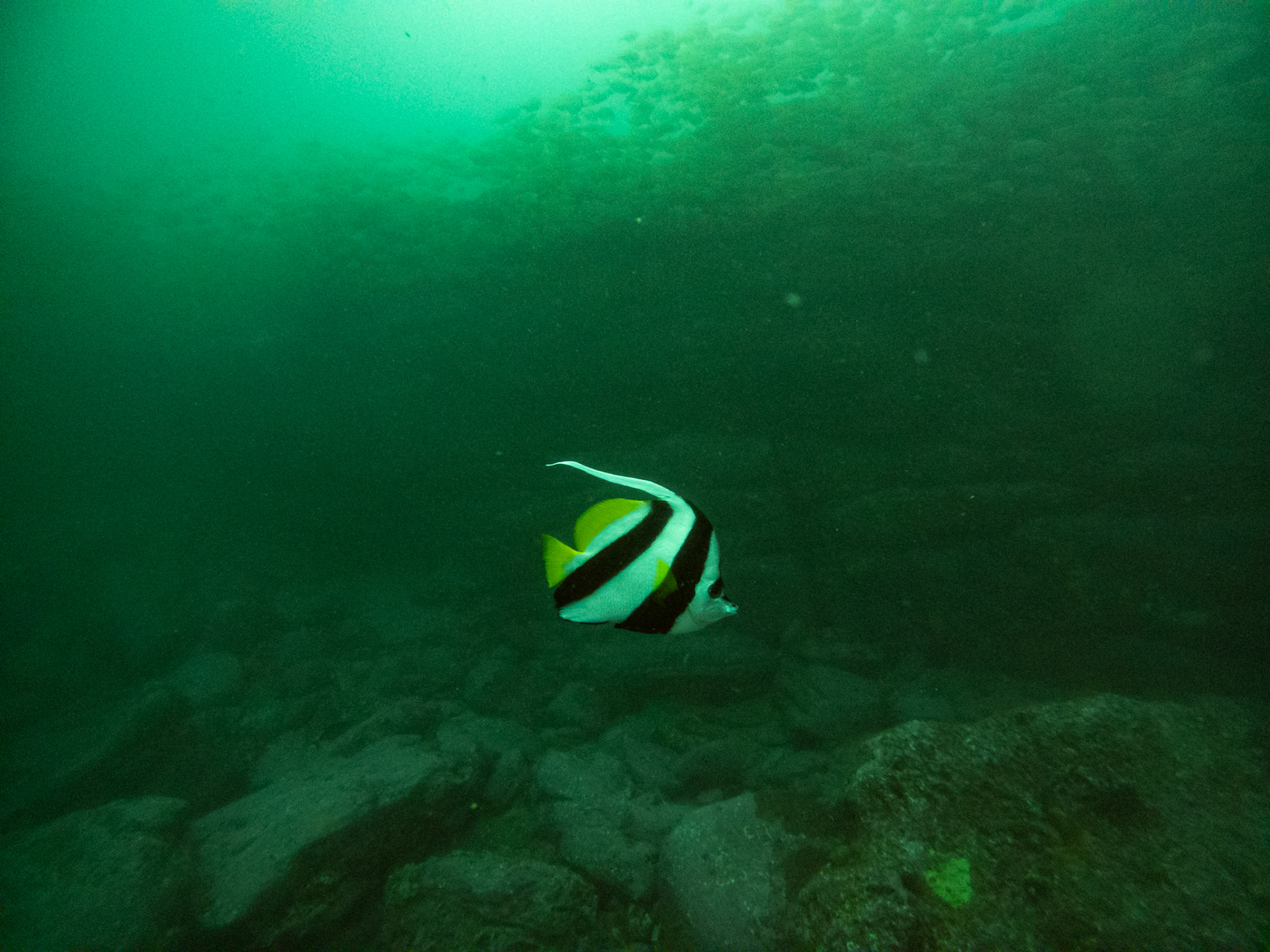 C:\DCIM\100GOPRO\GOPR0442.GPR