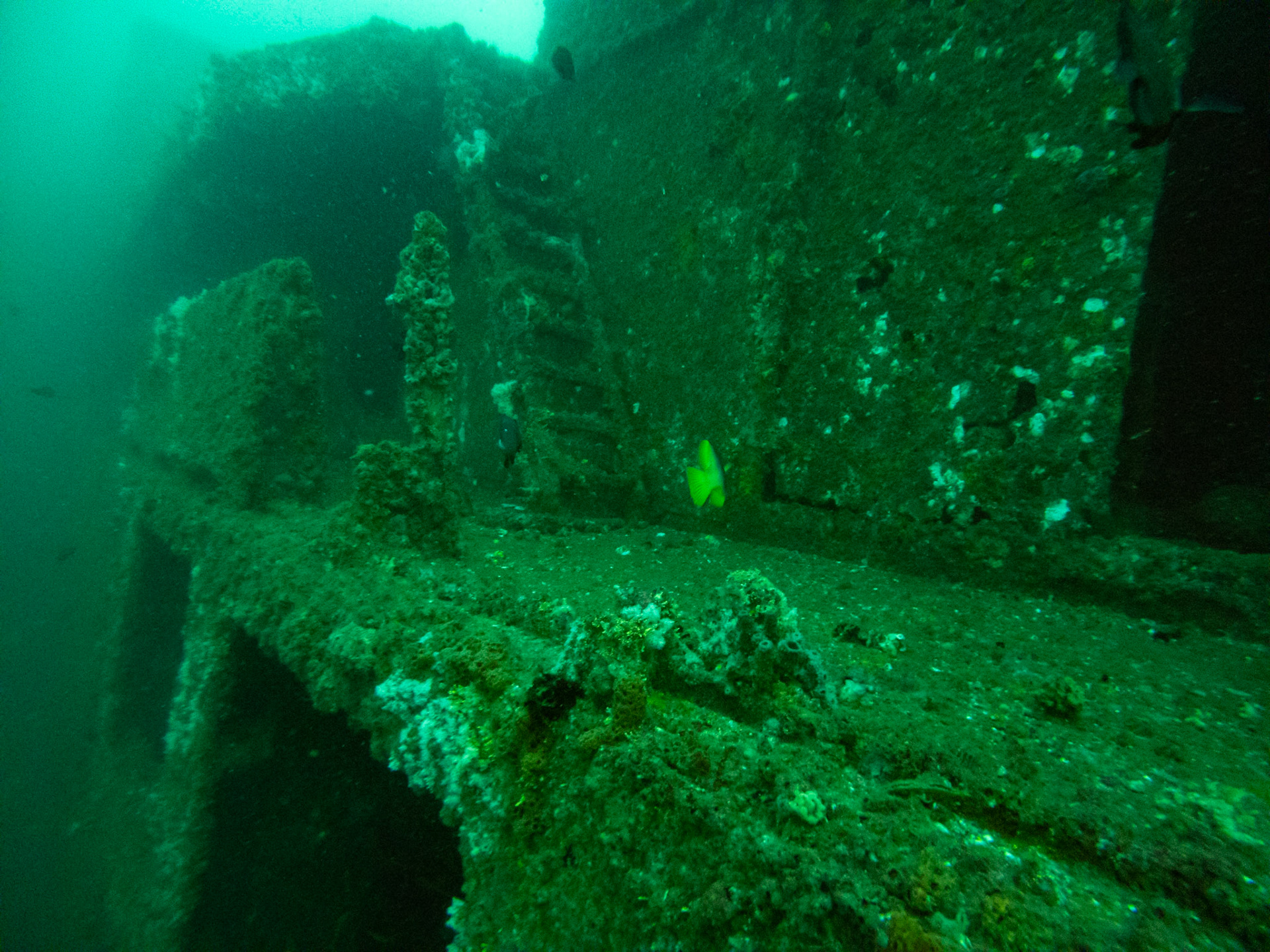 C:\DCIM\100GOPRO\GOPR0542.GPR