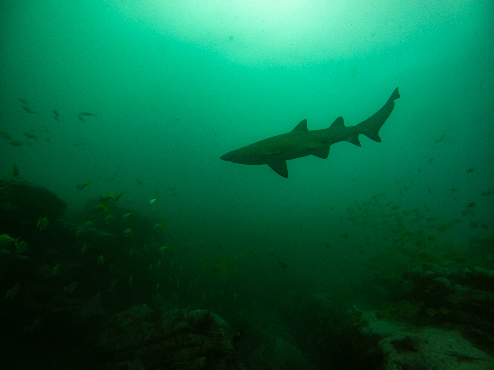 C:\DCIM\100GOPRO\GOPR0448.GPR