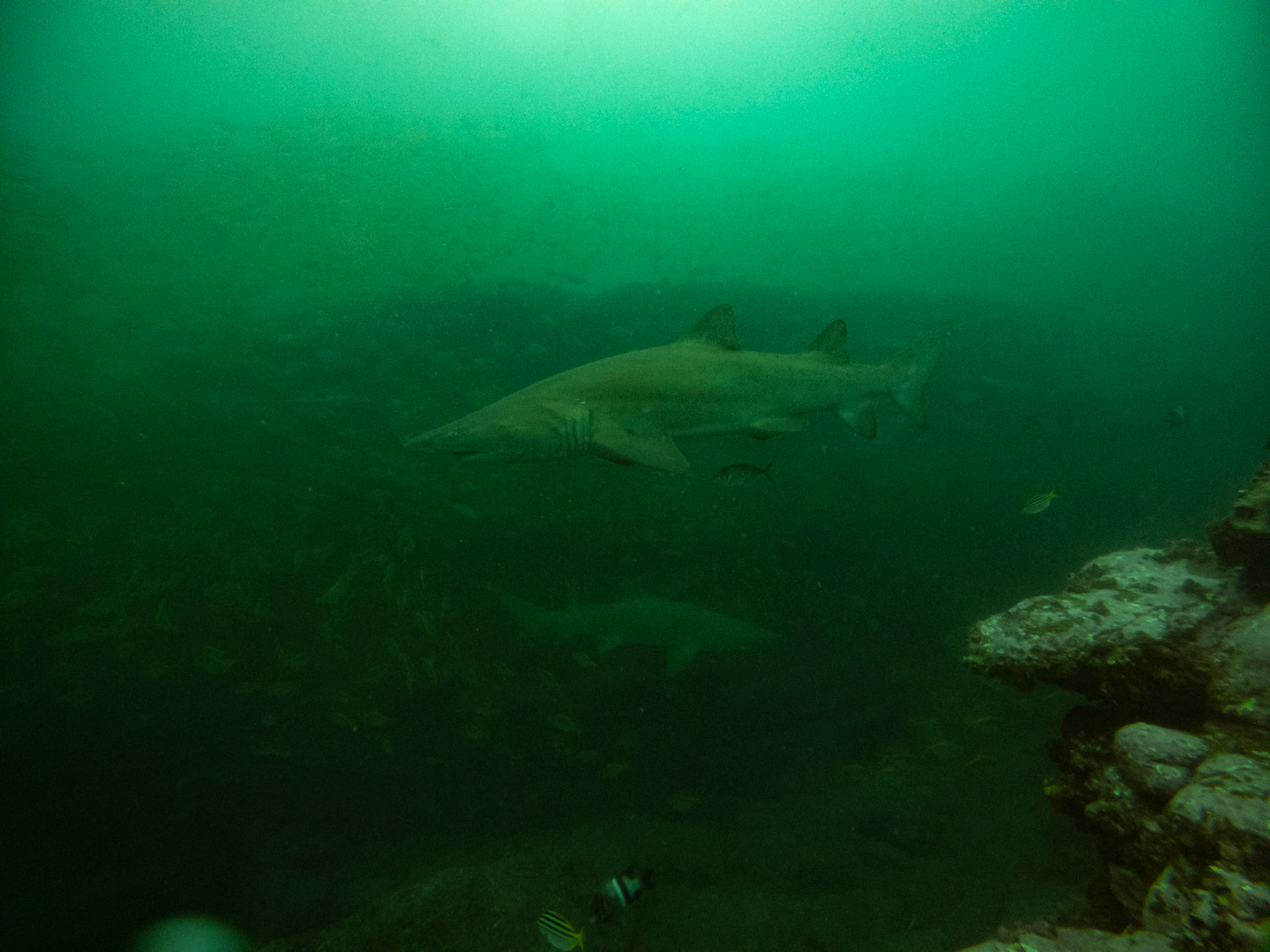 C:\DCIM\100GOPRO\GOPR0432.GPR