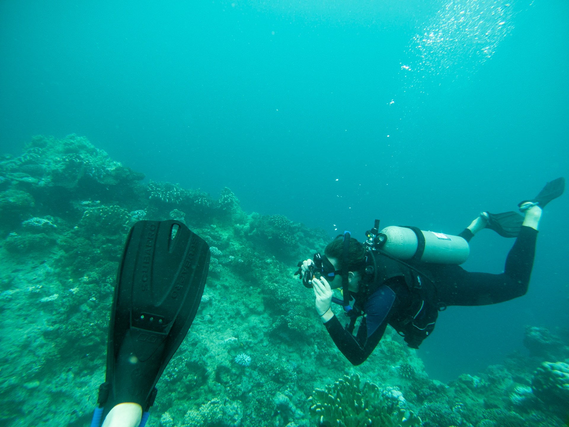 C:\DCIM\100GOPRO\GOPR0384.GPR