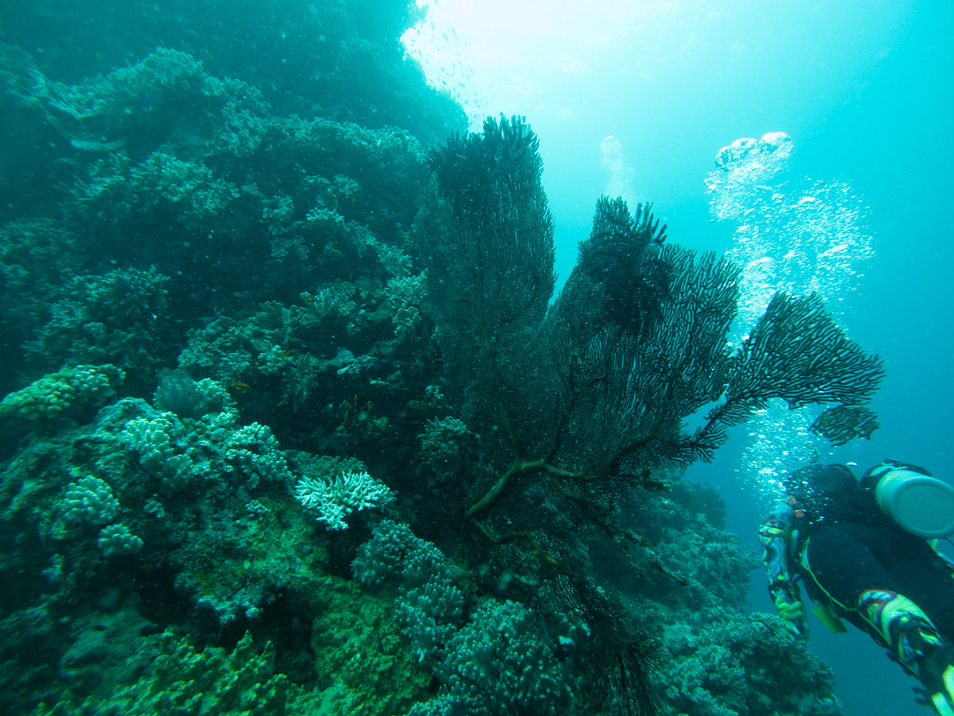 C:\DCIM\100GOPRO\GOPR0306.GPR