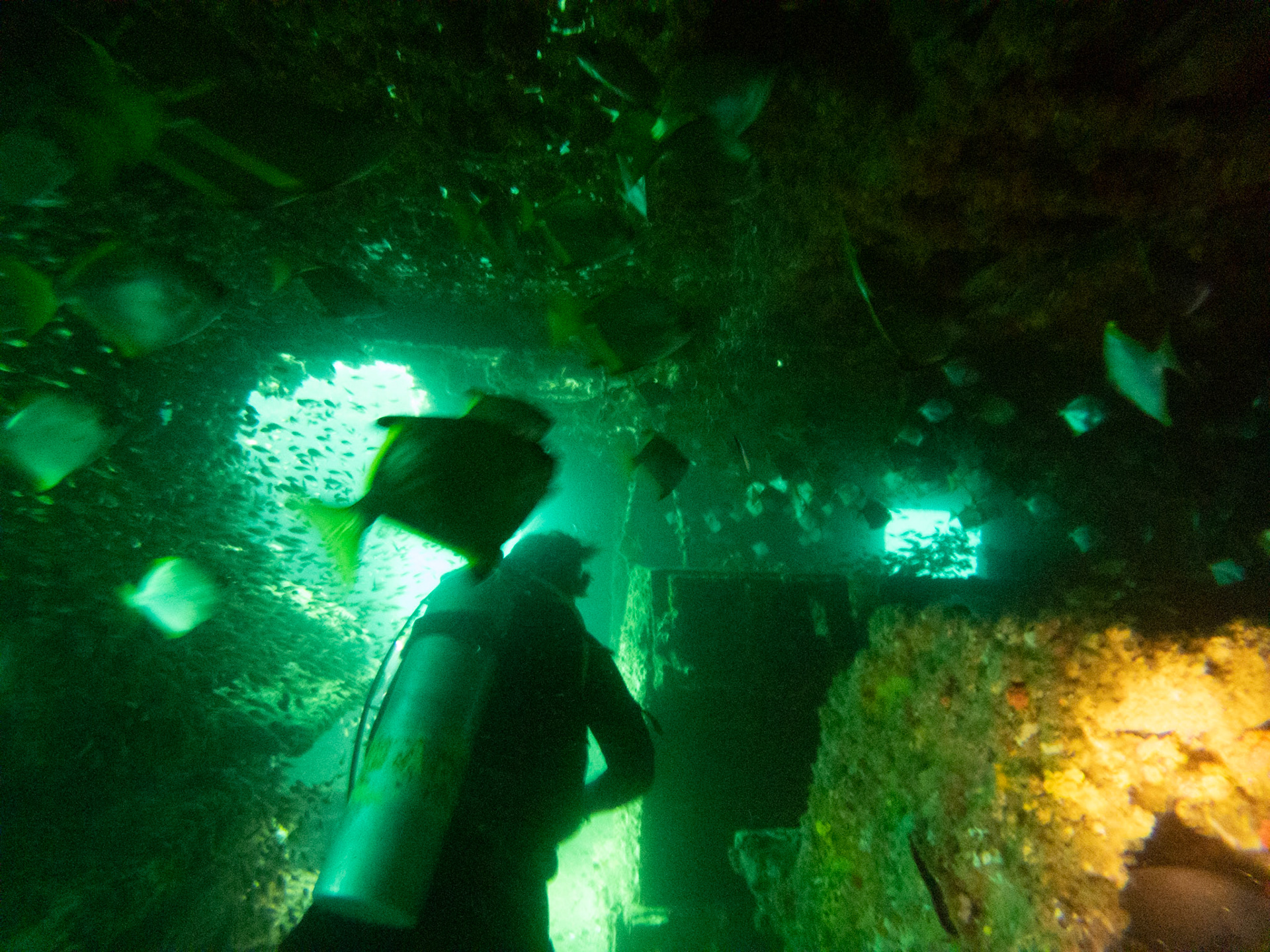 C:\DCIM\100GOPRO\GOPR0588.GPR