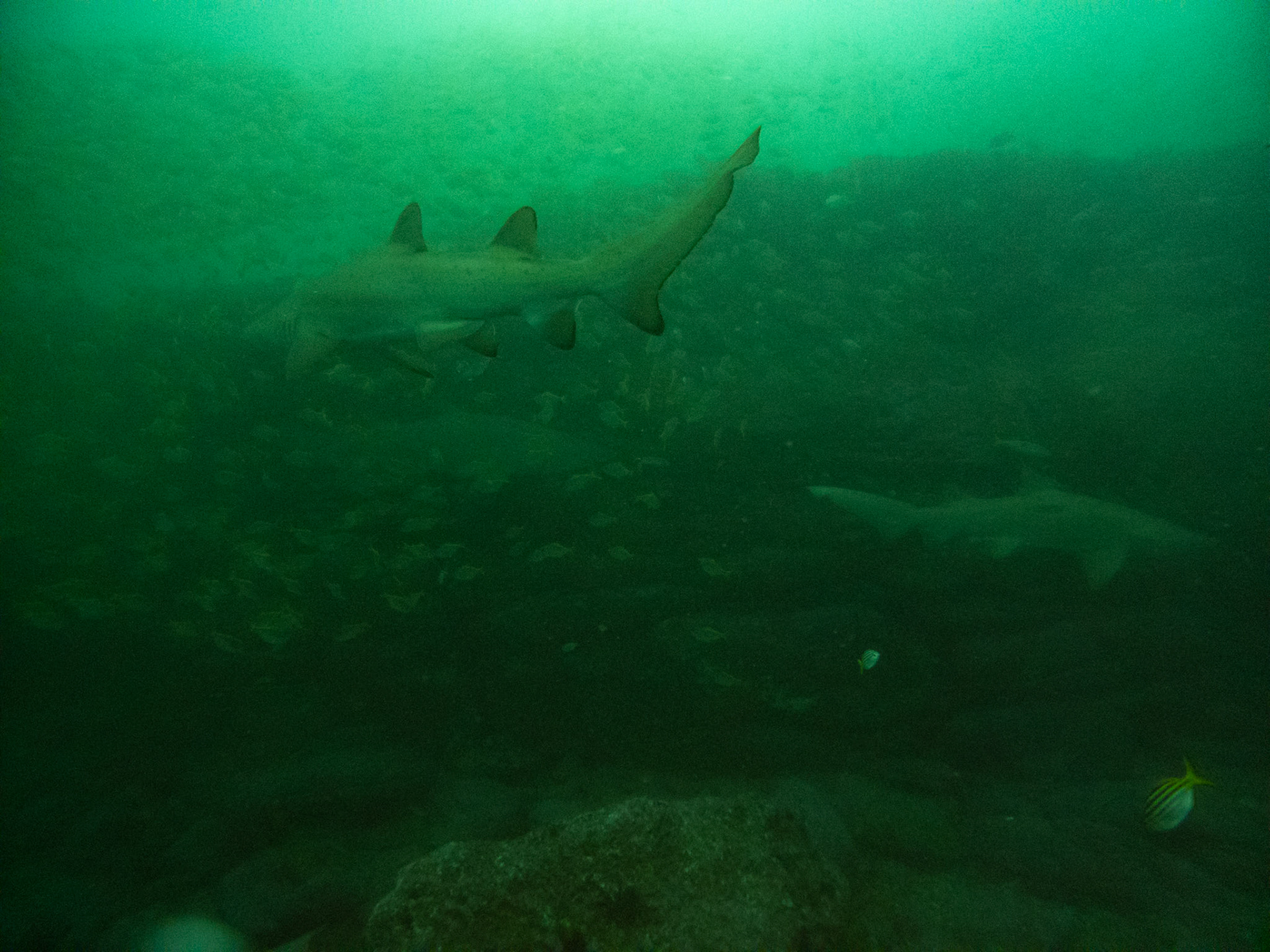 C:\DCIM\100GOPRO\GOPR0433.GPR