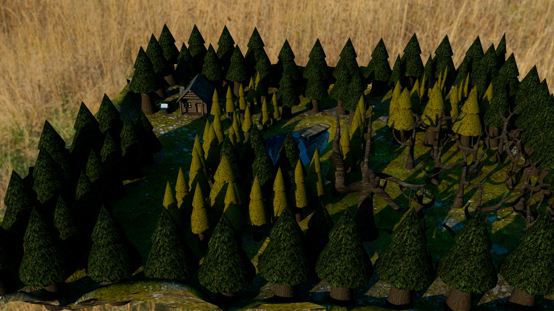 Birds Eye View of Terrain Final Model Texture