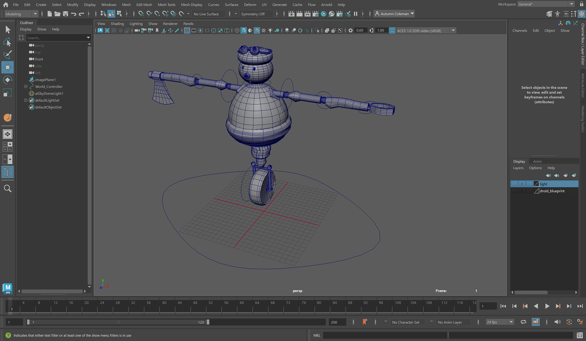 Acorn Boy Rough Model RIG