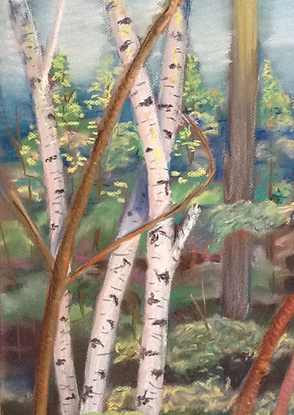 Birch Trees, pastel