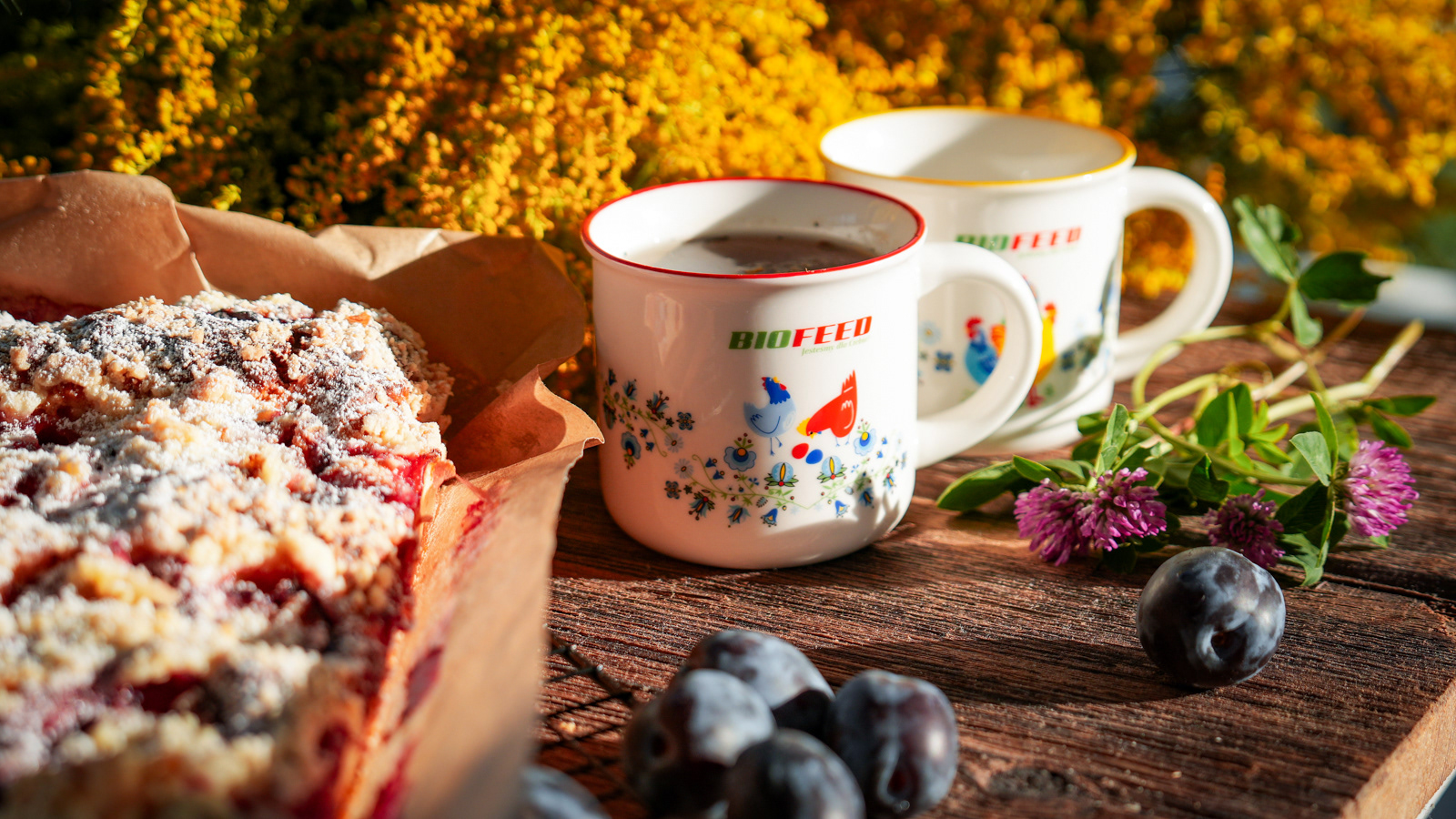 BIOFEED / Linia produktów dla drobiu Nasz Odchów 