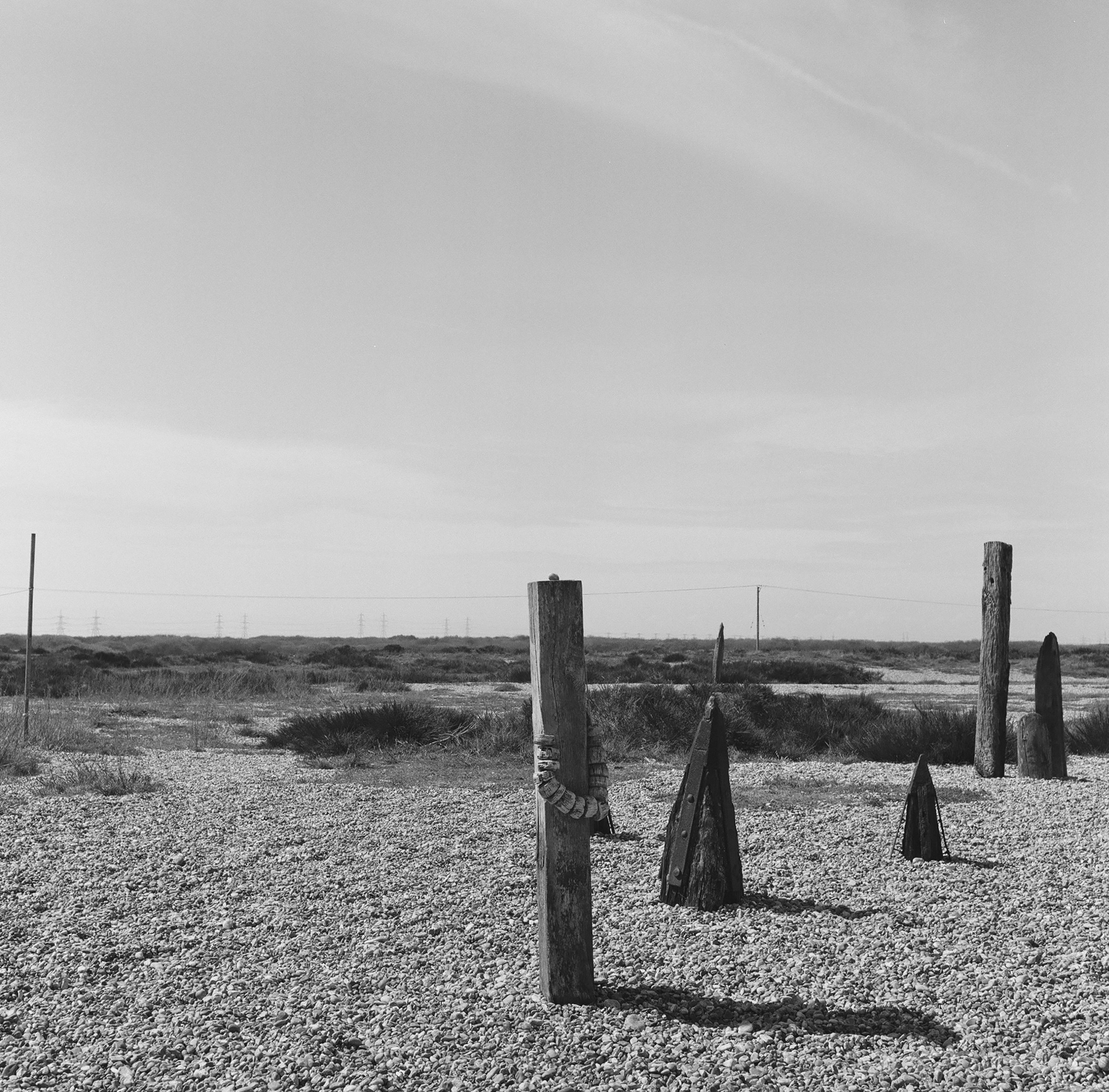 Derek Jarman's Garden, 2025