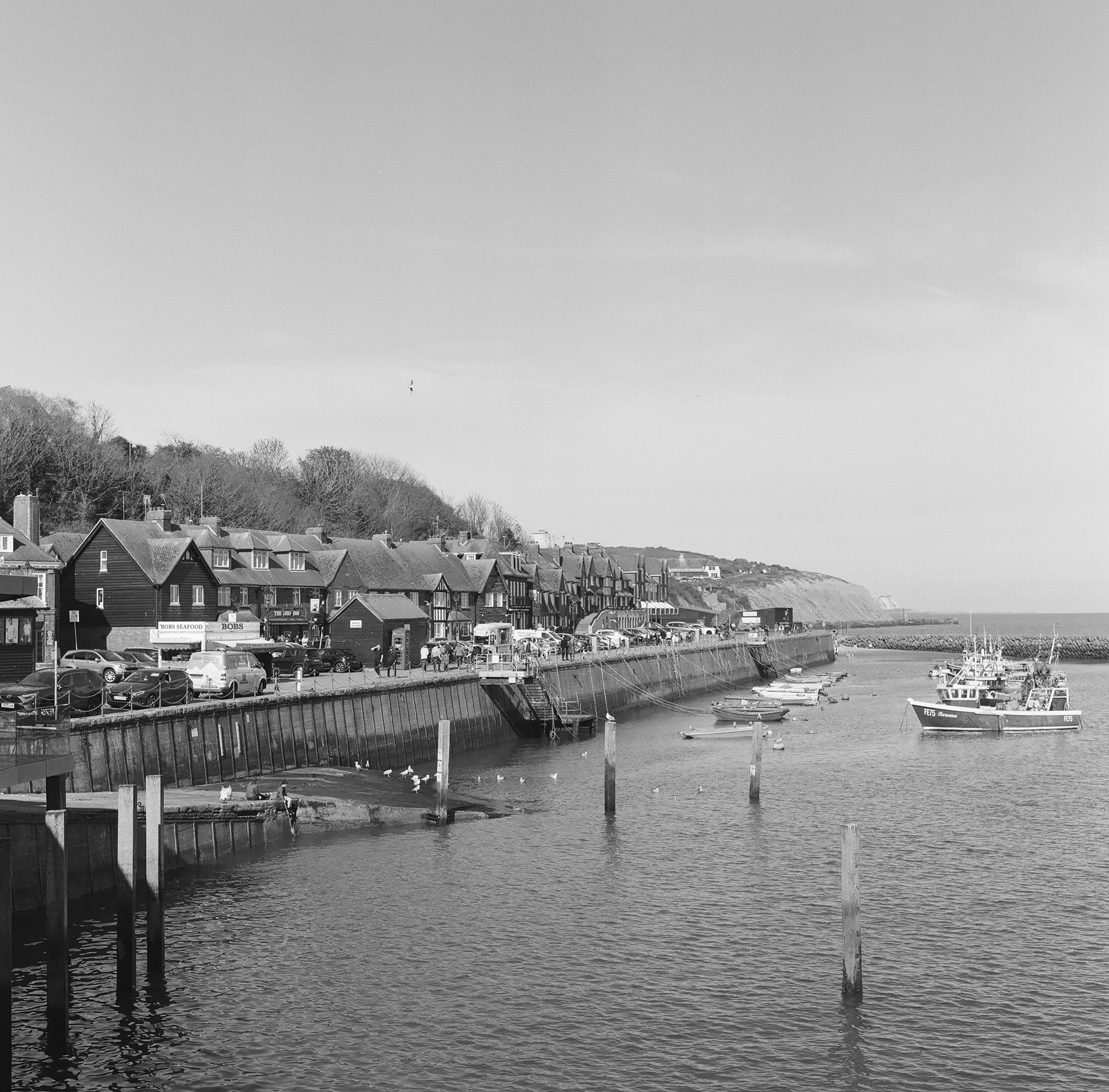 The Harbour Arm, 2025