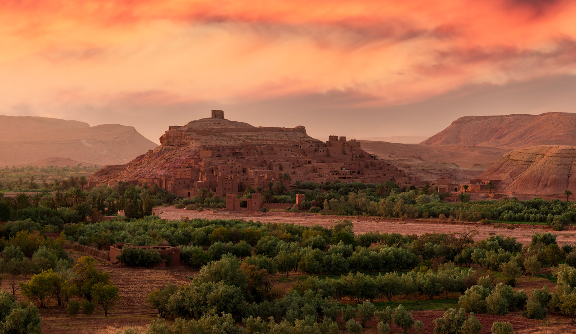 Sentinel Of The Desert