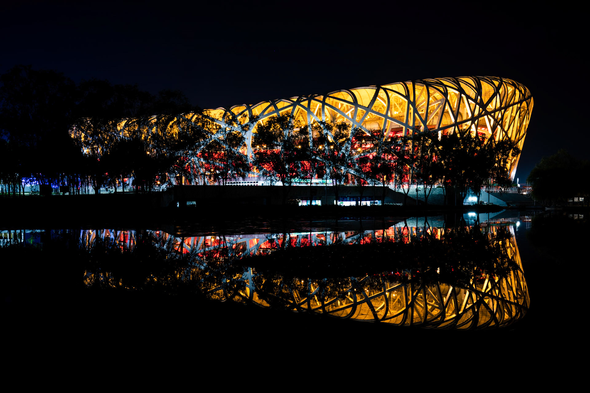 The Bird's Nest