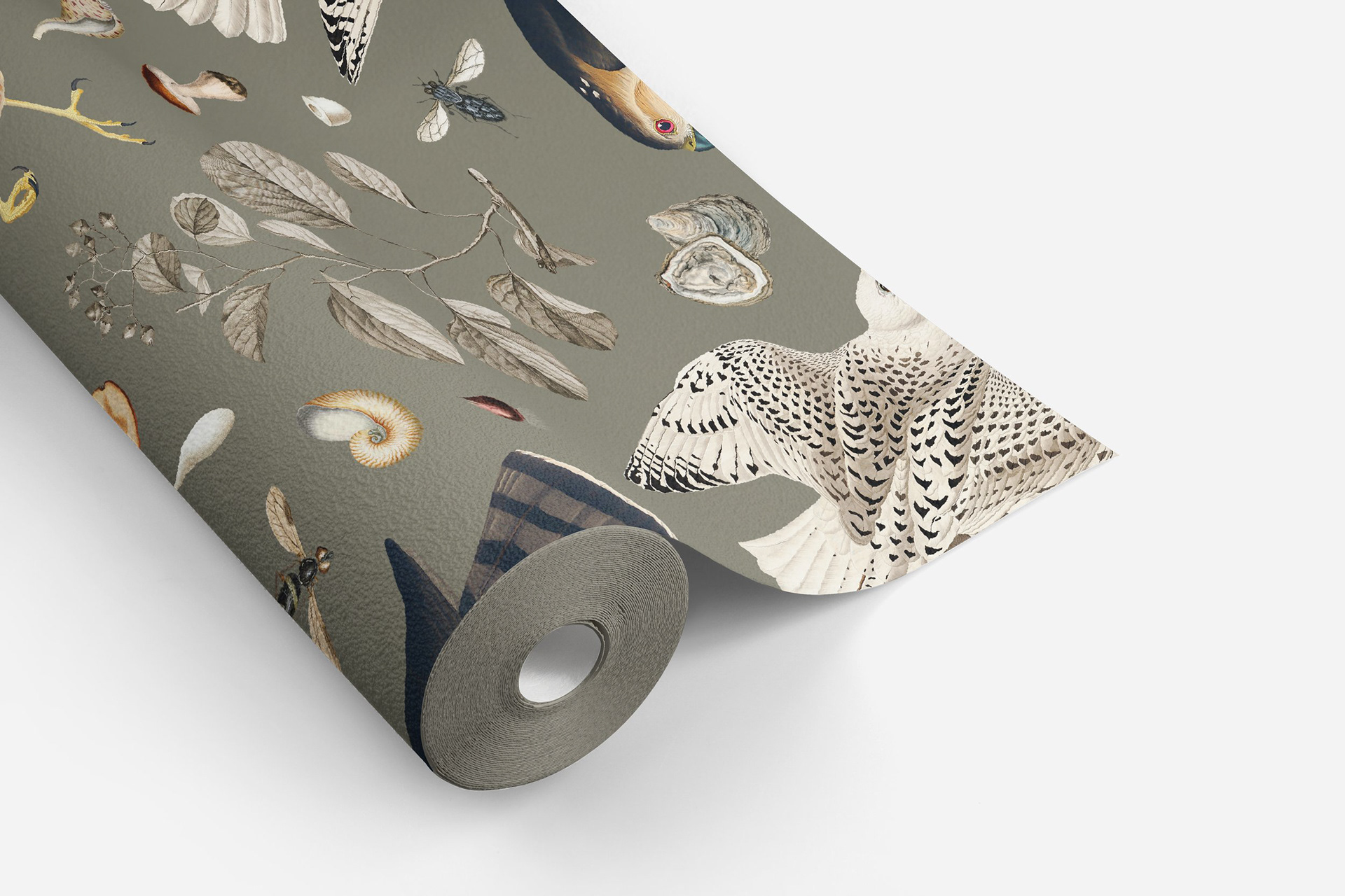 Roll Mockup