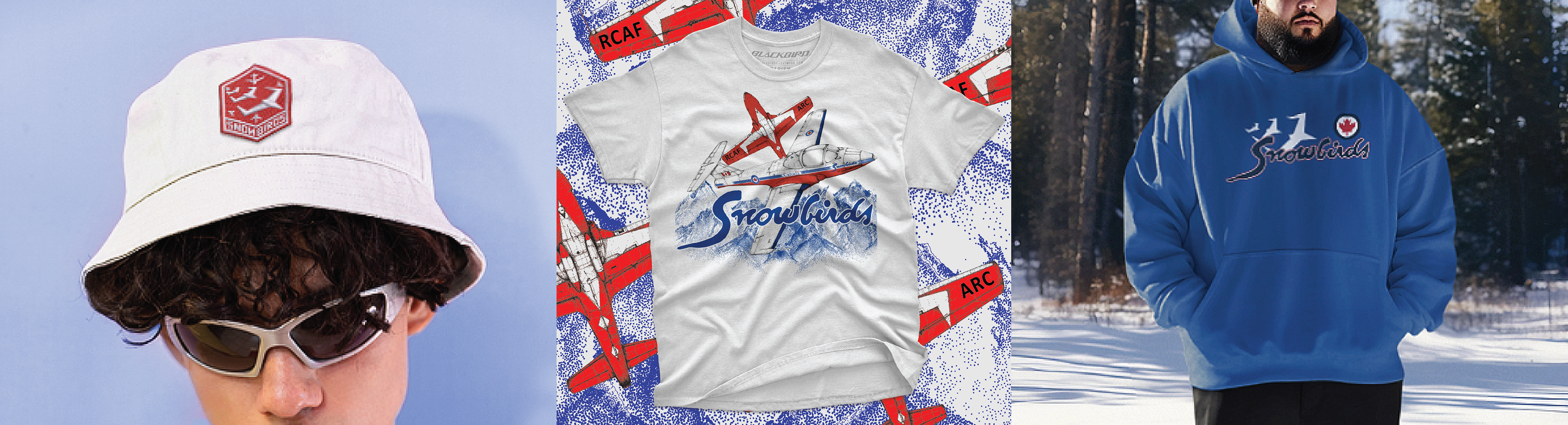 Canadian Snowbirds Jet Team Collection Header