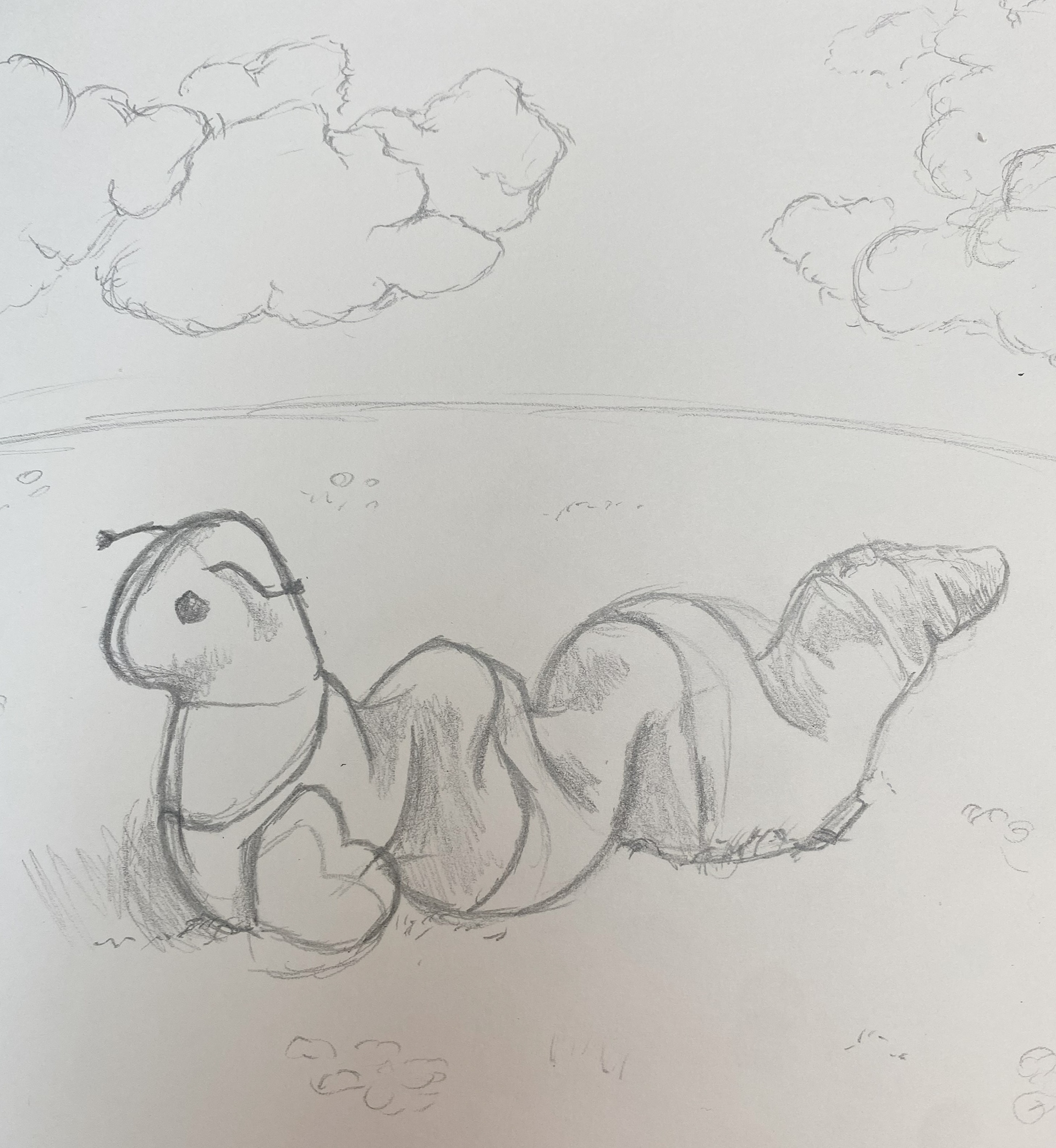 Beanie Baby Caterpillar, graphite on paper, 9 x 12 in.