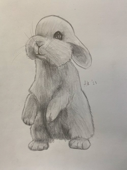 Cheery Bunny, 2020, graphite on paper, 9 x 12 in.