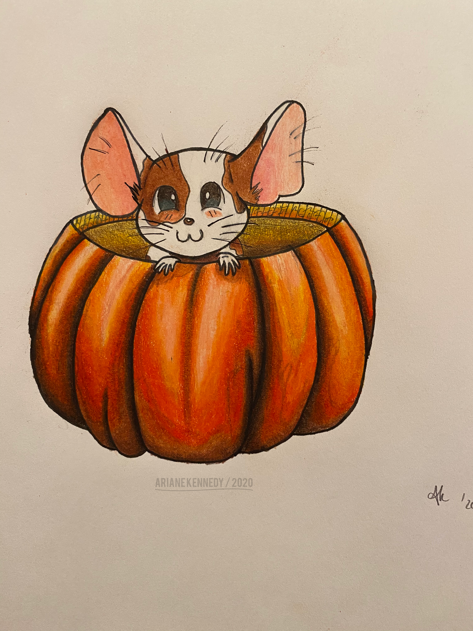 Mouse In A Pumpkin