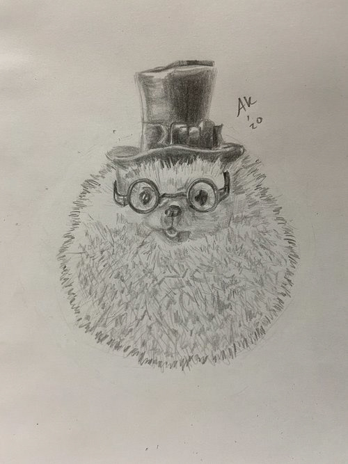 Fancy Hedgehog, 2020, graphite on paper, 9 x 12 in. 