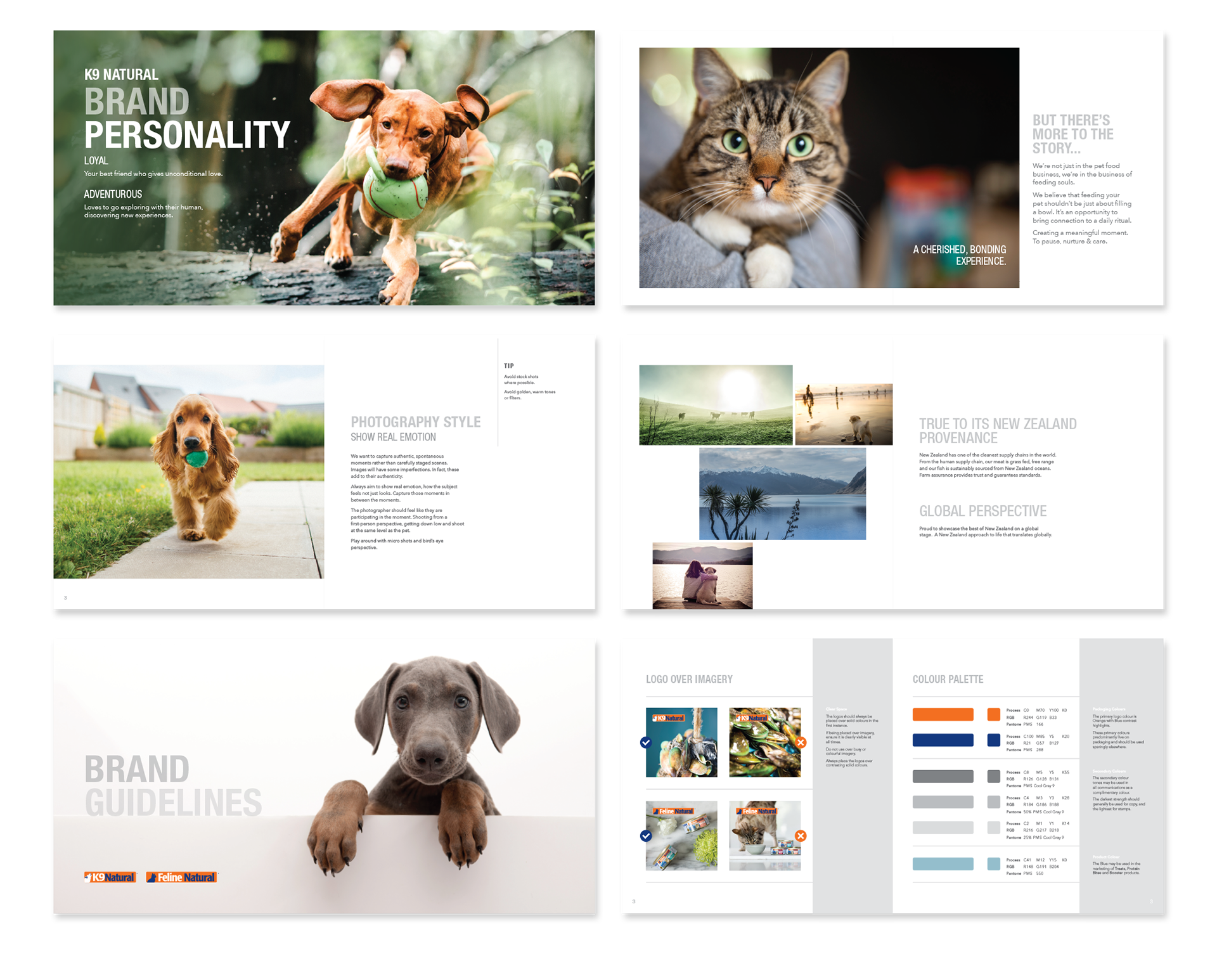 Booklet design showing the brand style and ethos of a pet food company.