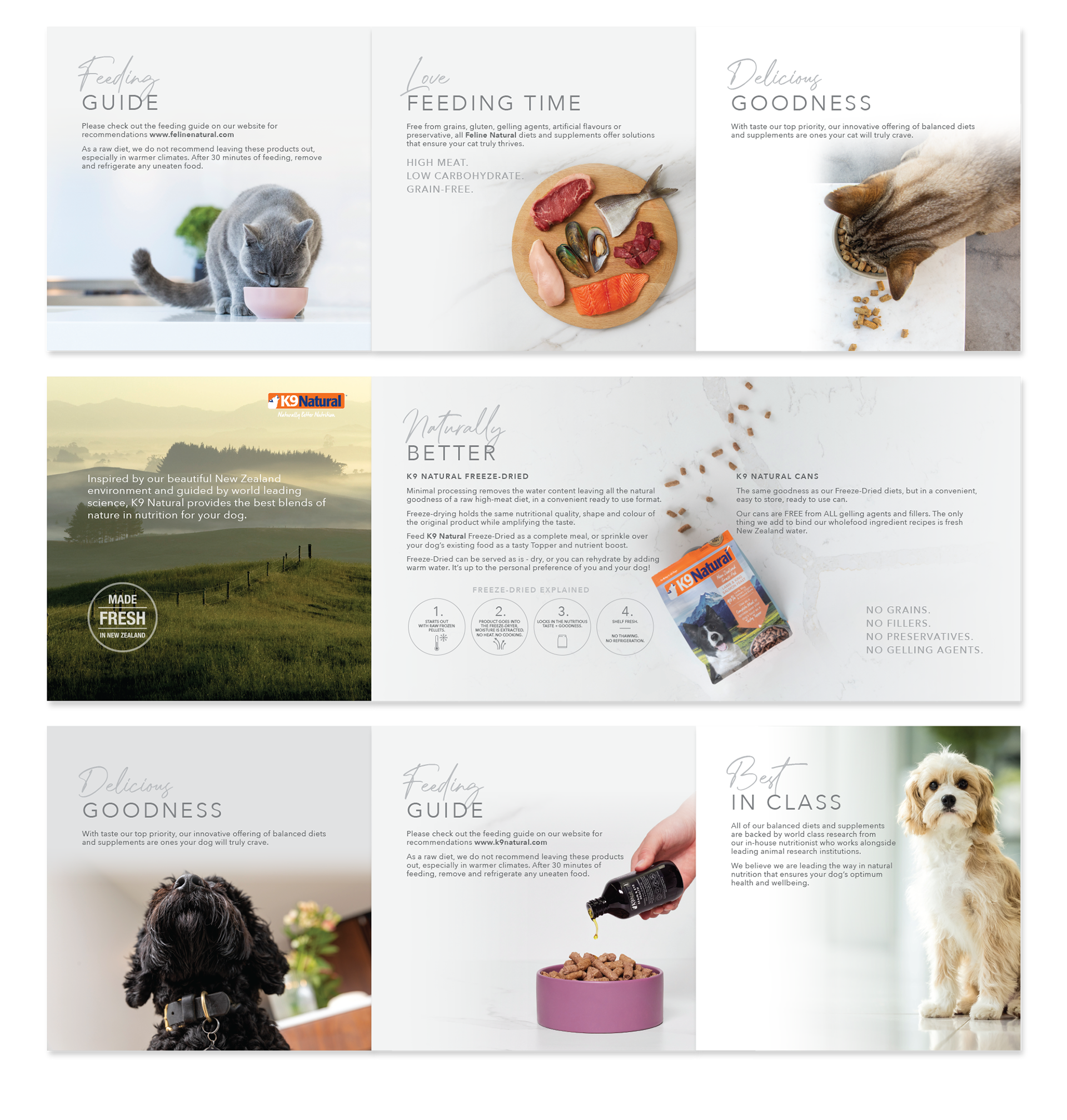 Design of concertina style brochure to promote and explain the products of a pet food company.