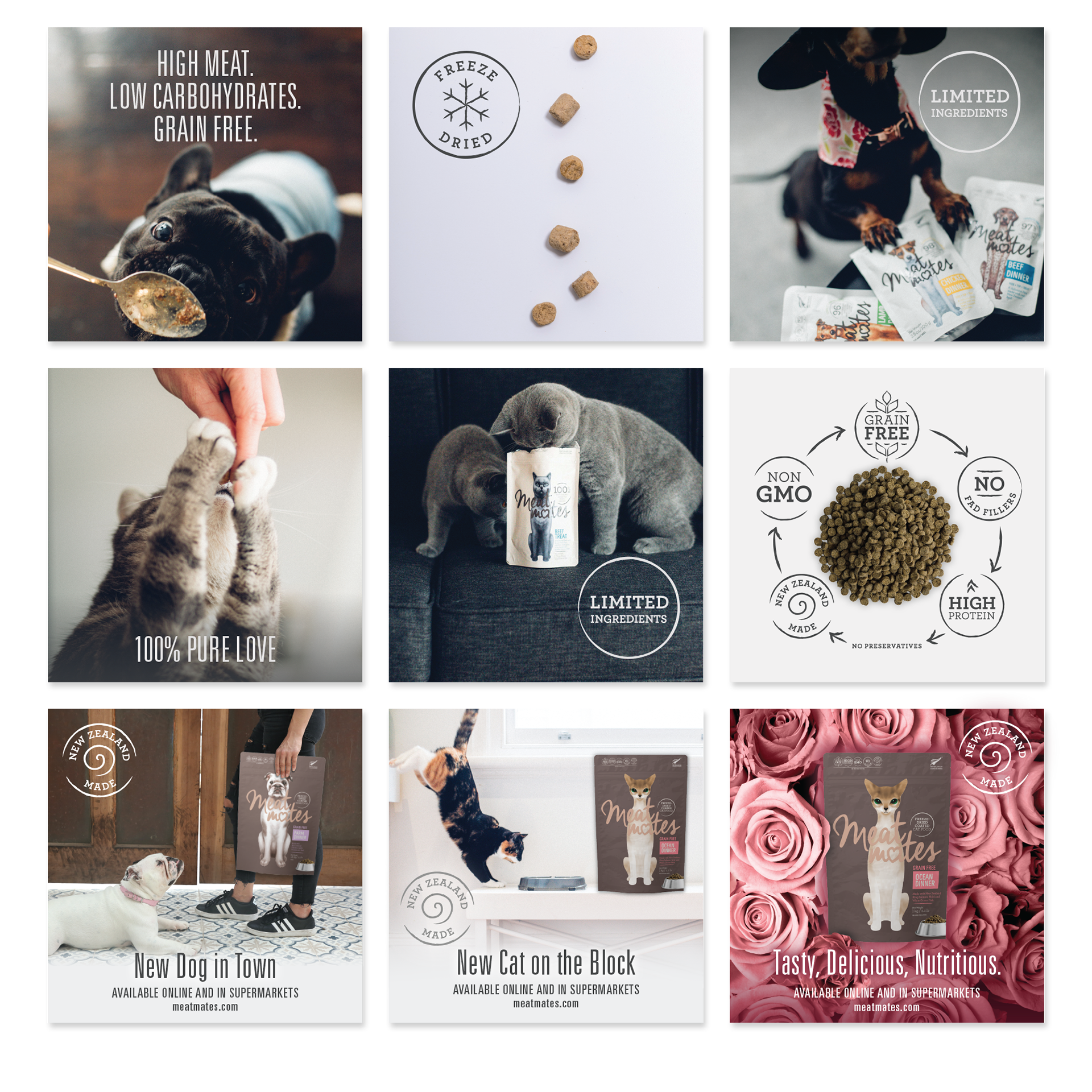 Design of social posts for a fun and quirky pet food range.