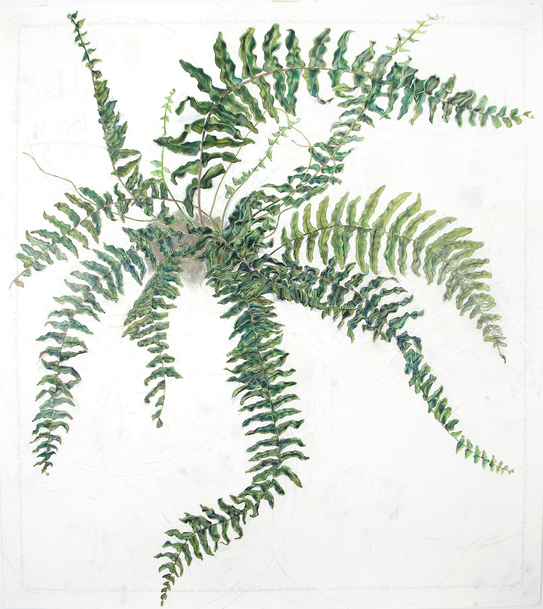 Fern, 2009, mixed media on paper, 52"x48"