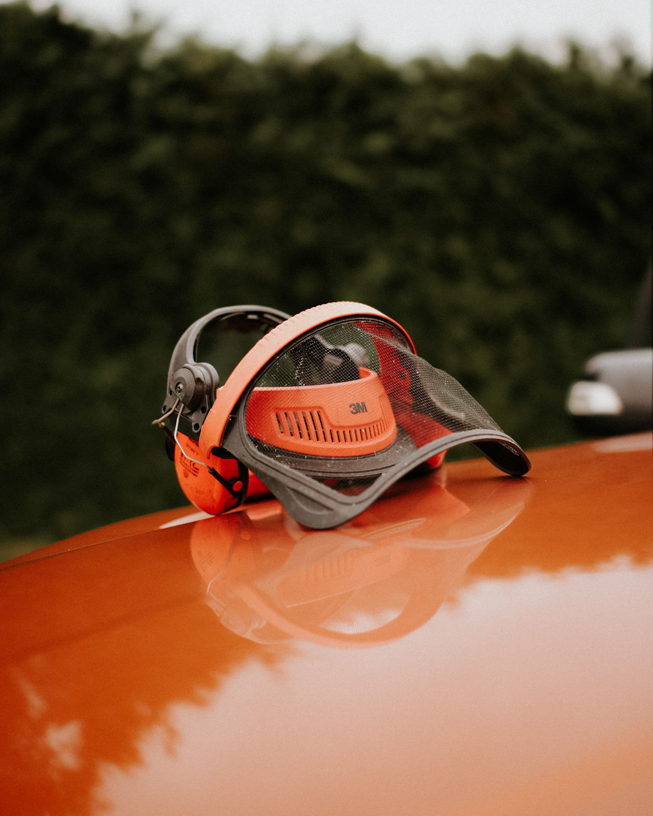 3M Schutzhelm und Handschuhe, verwendet für sicheres Arbeiten bei Baumfällungen und Heckenschnitten.