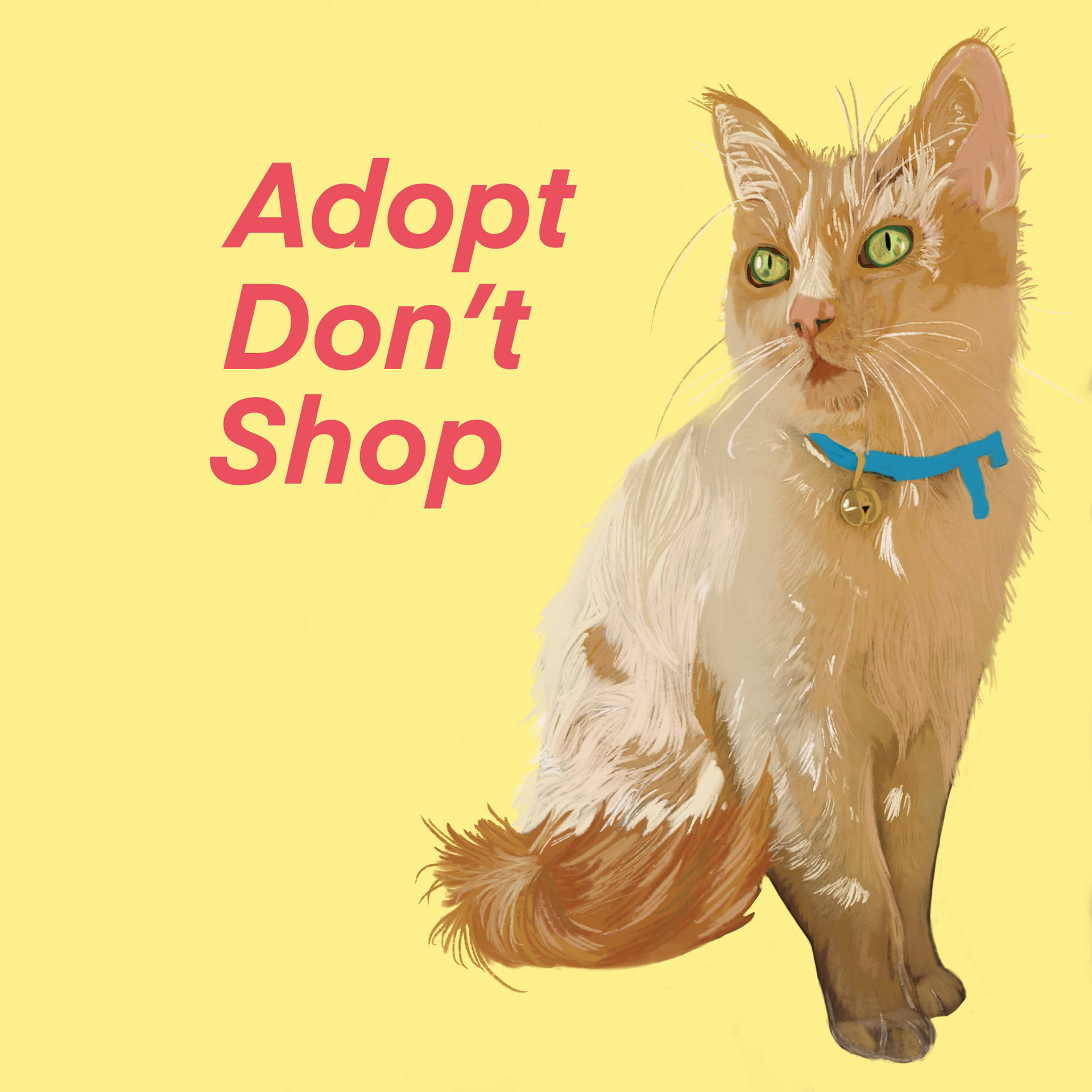 Adopt Don't Shop Editorial