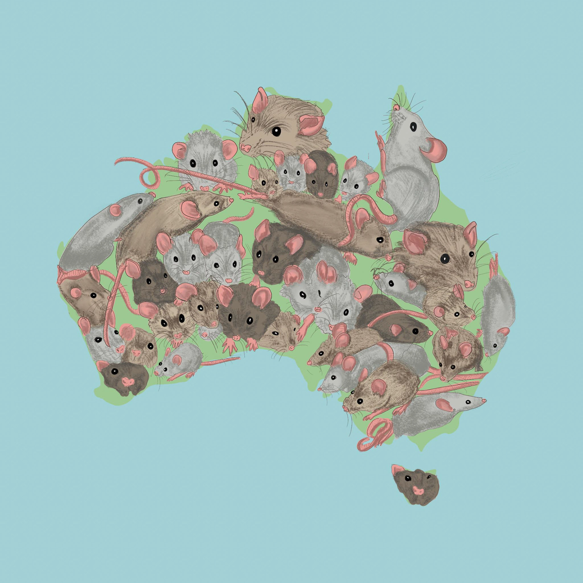 Australian Mouse Plague Editorial