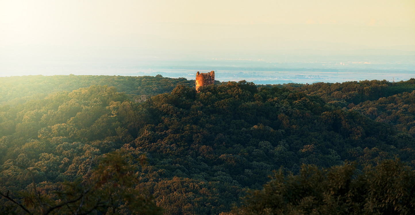 Vrdnik tower, Fruska Gora