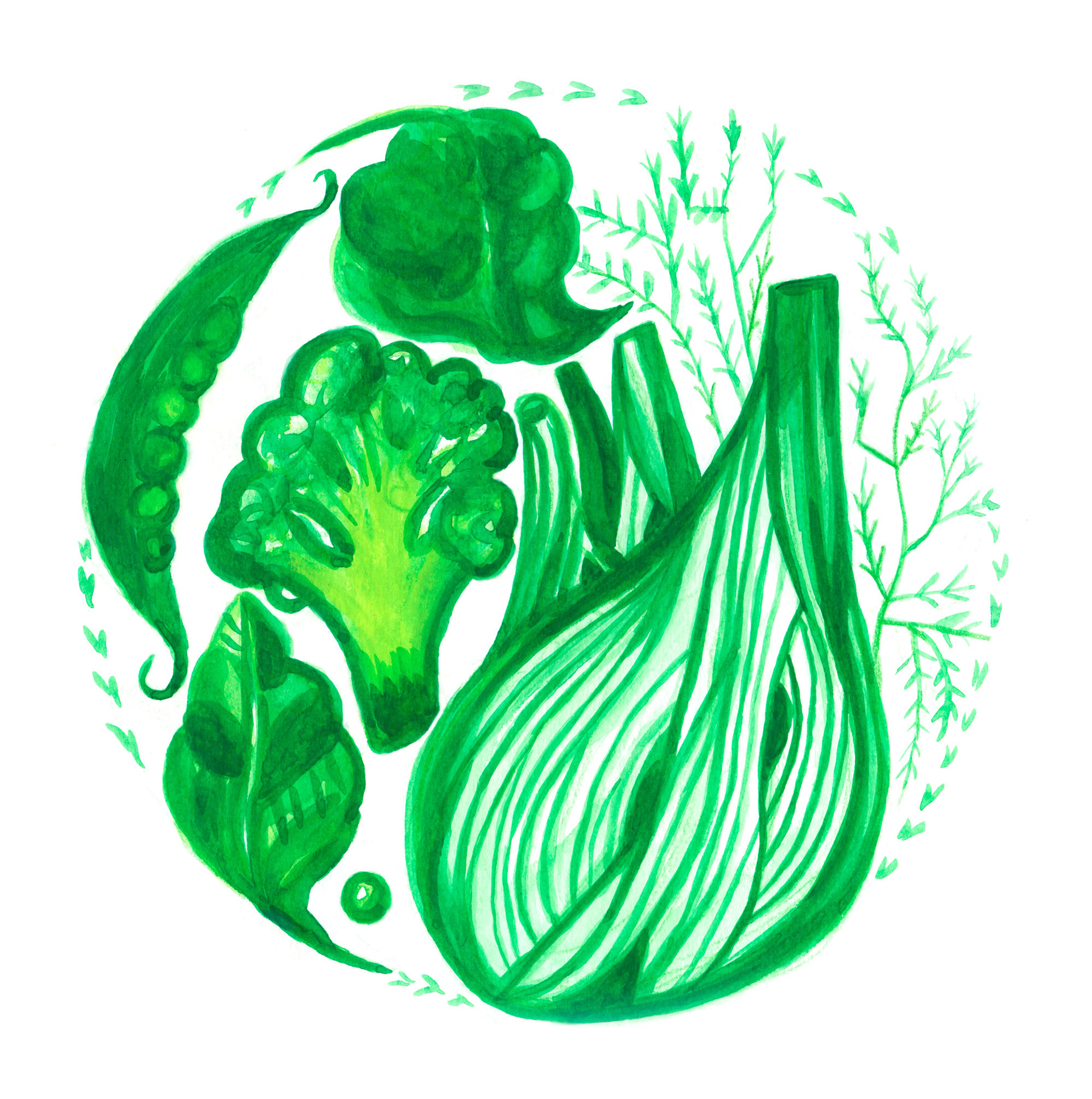 Green, Greens, Veggies, Vegetables, Grönsaker, Food Illustration, Food, Foodie, Watercolor, Akvarell, Illustratör, Illustration