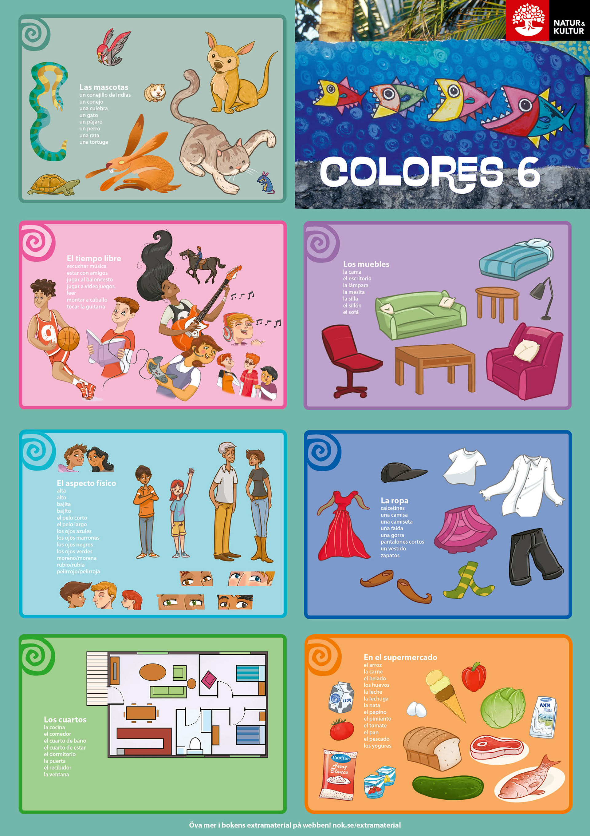 Poster with vocabulary