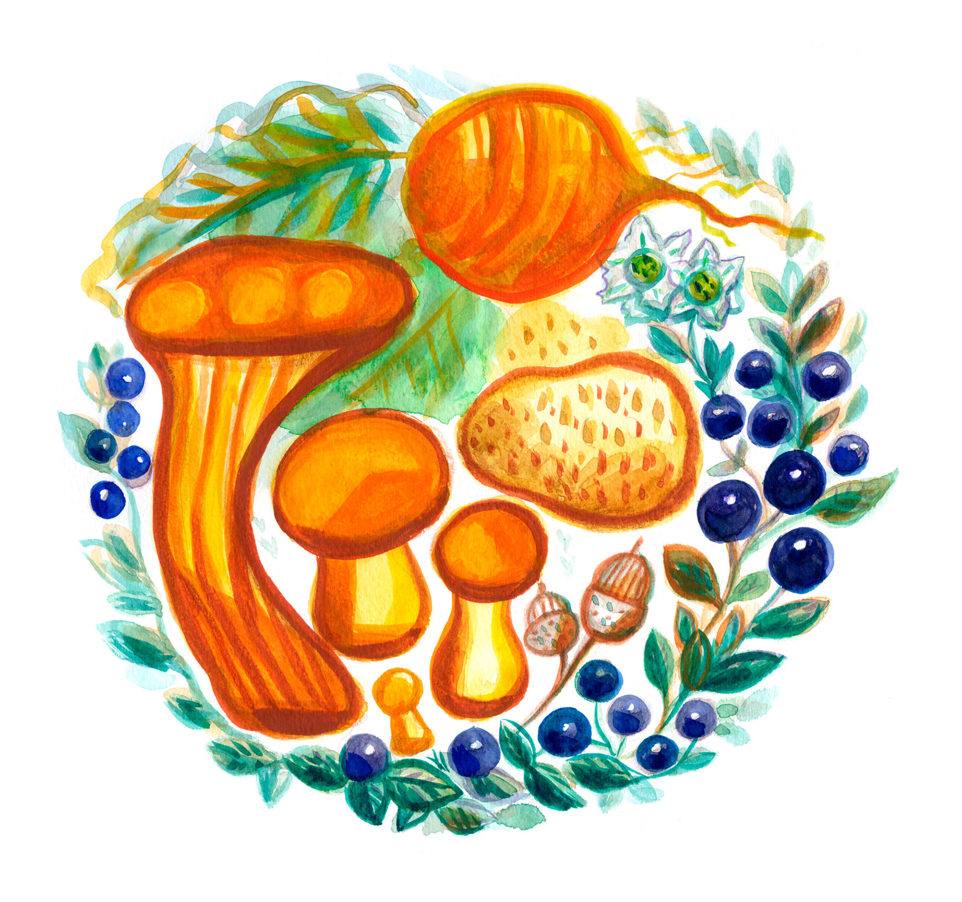 Mushroom, Kantareller, Berries, Blåbär, Autumn, Höst, Food Illustration, Food, Foodie, Watercolor, Akvarell, Illustratör, Illustration