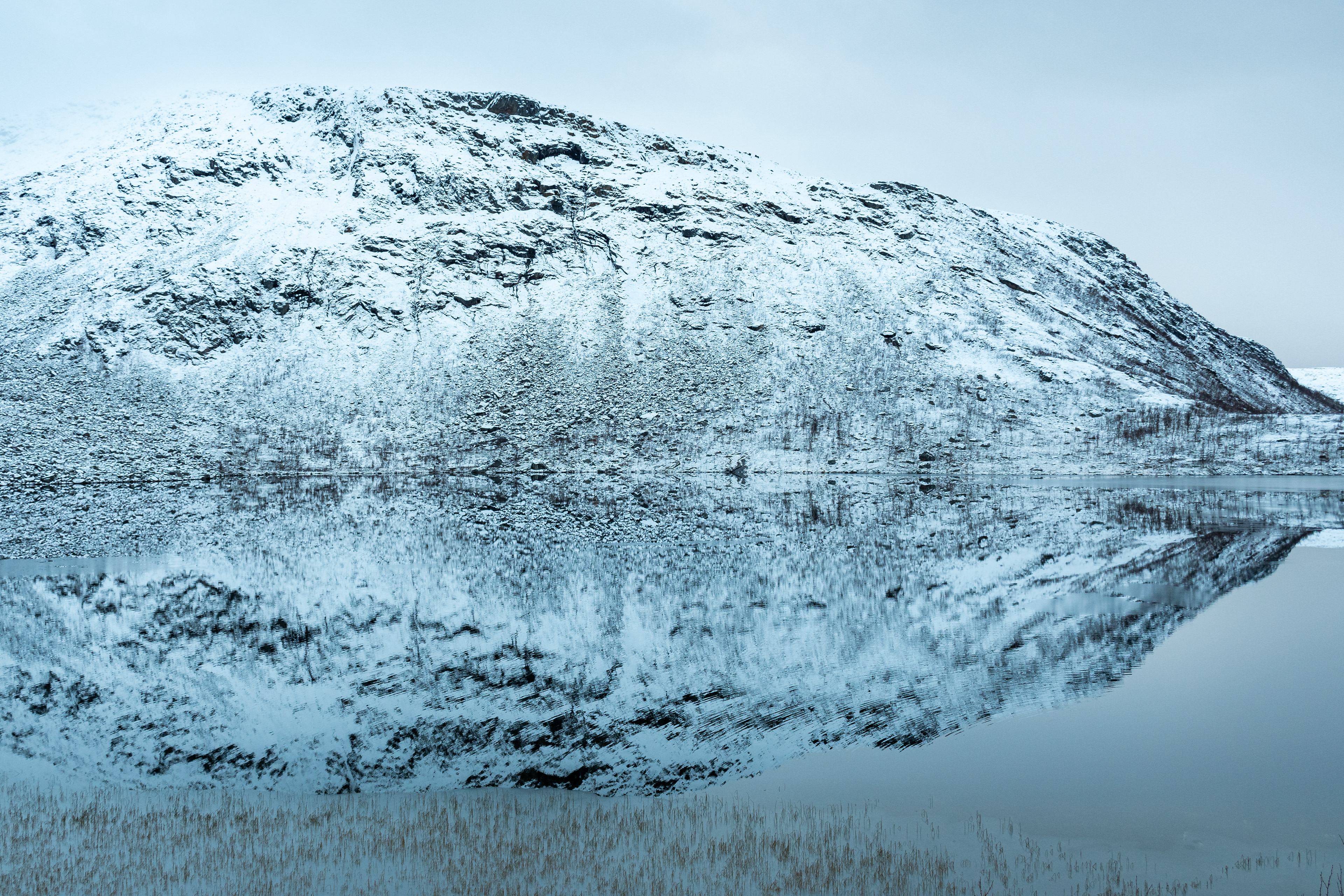 Reflection