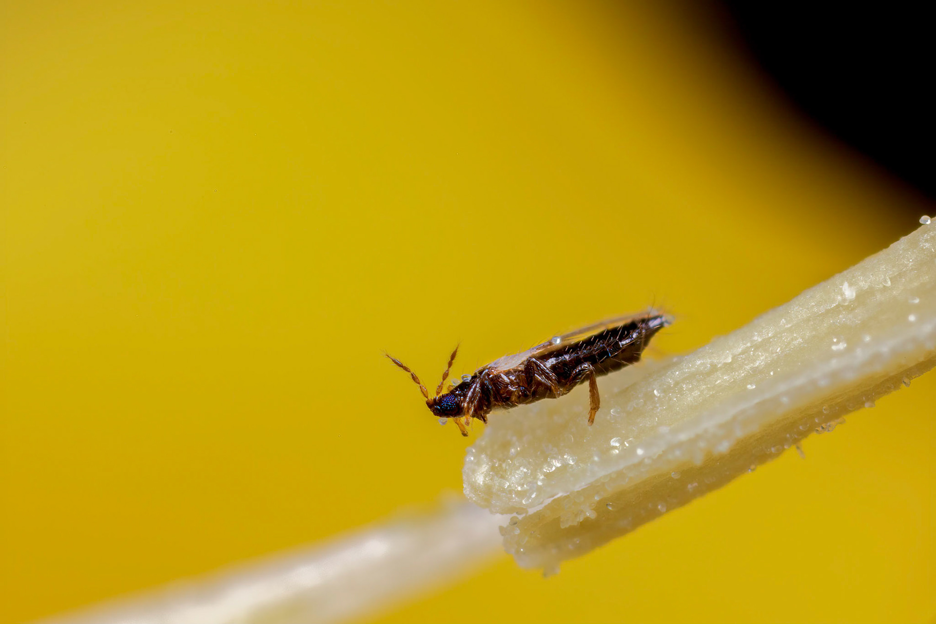 Photo Stack: 2Crop: 3x2