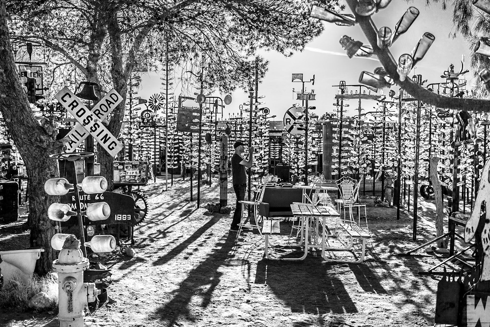 Taking pics at Elmer's Bottle Tree Ranch.